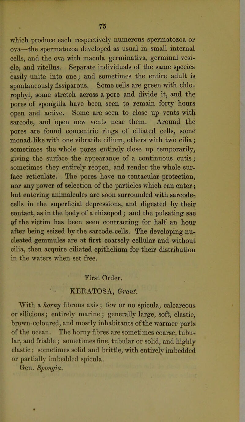 which produce each respectively numerous spermatozoa or ova—the spermatozoa developed as usual in small internal cells, and the ova with macula germinativa, germinal vesi- cle, and viteUus. Separate individuals of the same species easily unite into one; and sometimes the entire adult is spontaneously fissipar'ous. Some cells are green with chlo- rophyl, some stretch across a pore and divide it, and the pores of spongilla have been seen to remain forty hours open and active. Some are seen to close up vents with sarcode, and open new vents near them. Around the pores are found concentric rings of ciliated cells, some monad-like with one vibratile cilium, others with two cilia; sometimes the whole pores entirely close up temporarily, giving the surface the appearance of a continuous cutis; sometimes they entirely reopen, and render the whole sur- face reticulate. The pores have no tentacular protection, nor any power of selection of the particles which can enter; but entering animalcules are soon surrounded with sarcode- cells in the superficial depressions, and digested by their contact, as in the body of a rhizopod; and the pxilsating sac Qf the victim has been seen contracting for half an hour after being seized by the sarcode-cells. The developing nu- cleated gemmules are at first coarsely cellular and without cilia, then acquire ciliated epithelium for their distribution in the waters when set free. First Order. KERATOSA, Grant. With a homy fibrous axis; few or no spicula, calcareous or silicious; entirely marine; generally large, soft, elastic, brown-coloured, and mostly inhabitants of the warmer parts of the ocean. The horny fibres are sometimes coarse, tubu- lar, and friable; sometimes fine, tubular or solid, and highly elastic; sometimes solid and brittle, Avith entirely imbedded or partially imbedded spicula. Gen. Sponyia.