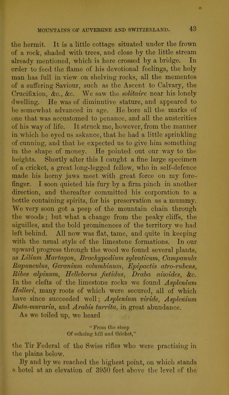 the hermit. It is a little cottage situated under the frown of a rock, shaded with trees, and close hy the little stream already mentioned, which is here crossed by a bridge. In order to feed the flame of his devotional feelings, the holy man has full in view on shelving rocks, all the mementos of a suffering Saviour, such as the Ascent to Calvary, the Crucifixion, &c., &c. We saw the solitaire near his lonely dwelling. He was of diminutive stature, and appeared to be somewhat advanced in age. He bore all the marks of one that was accustomed to penance, and all the austerities of his way of life. It struck me, however, from the manner in which he eyed us askance, that he had a little sprinkling of cunning, and that he expected us to give him something in the shape of money. He pointed out our way to the heights. Shortly after this I caught a fine large specimen of a cricket, a great long-legged fellow, who in self-defence made his horny jaws meet with great force on my fore- finger. I soon quieted his fury by a firm pinch in another direction, and thereafter committed his corporation to a bottle containing spirits, for his preservation as a mummy. We very soon got a peep of the mountain chain through the woods; but what a change from the peaky cliffs, the aiguilles, and the bold prominences of the territor}'^ we had left behind. All now was flat, tame, and quite in keeping with the usual style of the limestone formations. In our upward progress through the wood we found several plants, as Lilium Martagon, Brachypodium sylvaticum, Campanula Rapunculus, Geranium columhinum, Epipactis atro-rtibenSy Ribes alpinum, Hellehorus foe.tidus, Draba aizoides, &c. In the clefts of the limestone ro(;ks we found Asplenium Halleri, many roots of which were secured, all of which liave since succeeded well; Asplenium viride, Asplenium Buta-muraria, and Arabis turrita, in great abundance. As we toiled up, we heard  From tho steep Of echoing hill and thicket, tho Tir Federal of the Swiss rifles who were practising in the plains below. By and by we reached the highest point, on which stands a hotel at an elevation of 3960 feet above the level of the