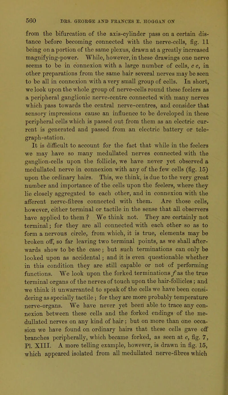 from the bifurcation of the axis-cylinder pass on a certain dis- tance before becoming connected with the nerve-cells, fig. 11 being on a portion of the same plexus, drawn at a greatly increased magnifying-power. While, however, in these drawings one nerve seems to be in connexion with a large number of cells, c c, in other preparations from the same hair several nerves may be seen to be all in connexion with a very small group of cells. In short, we look upon the whole group of nerve-cells round these feelers as a peripheral ganglionic nerve-centre connected with many nerves which pass towards the central nerve-centres, and consider that sensory impressions cause an influence to be developed in these peripheral cells which is passed out from them as an electric cur- rent is generated and passed from an electric battery or tele- graph-station. It is difficult to account for the fact that while in the feelers we may have so many meduUated nerves connected with the ganglion-ceUs upon tbe follicle, we have never yet observed a medullated nerve in connexion with any of the few cells (fig. 15) upon the ordinary hairs. This, we think, is due to the very great number and importance of the cells upon the feelers, where they lie closely aggregated to each other, and in connexion with the afferent nerve-fibres connected with them. Are those cells, however, either terminal or tactile in the sense that all observers have applied to them ? We think not. They are certainly not terminal; for they are all connected with each other so as to form a nervous circle, from which, it is true, elements may be broken ofi, so far leaving two terminal points, as we shall after- wards show to be the case; but such terminations can only be looked upon as accidental; and it is even questionable whether in this condition they are still capable or not of performing functions. We look upon the forked terminations / as the true terminal organs of the nerves of touch upon the hair-follicles; and we think it unwarranted to speak of the cells we have been consi- dering as specially tactile; for they are more probably temperature nerve-organs. We have never yet been able to trace any con- nexion between these cells and the forked endings of the me- dullated nerves on any kind of hair; but on more than one occa- sion we have found on ordinary hairs that these cells gave oflF branches peripherally, which became forked, as seen at c, fig. 7, PI. XIII. A more telling example, however, is drawn in fig. 15, which appeared isolated from aU medullated nerve-fibres which