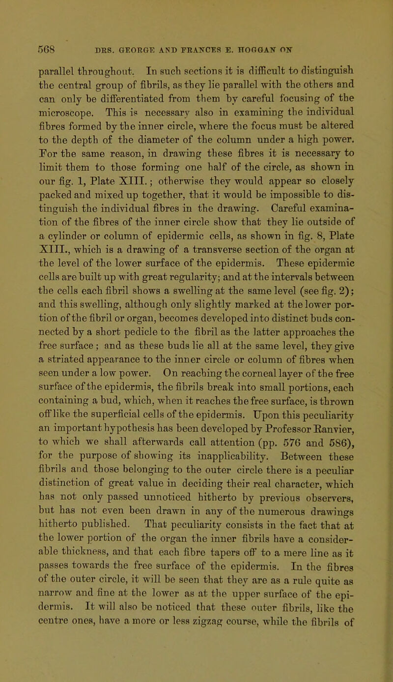 parallel throughout. In such sections it is difficult to distinguish the central group of fibrils, as they lie parallel with the others and can only be differentiated from them by careful focusing of the microscope. This i? necessary also in examining the individual fibres formed by the inner circle, where the focus must be altered to the depth of the diameter of the column under a high power. Eor the same reason, in drawing these fibres it is necessary to limit them to those forming one half of the circle, as shown in our fig. 1, Plate XIII.; otherwise they would appear so closely packed and mixed up together, that it would be impossible to dis- tinguish the individual fibres in the drawing. Careful examina- tion of the fibres of the inner circle show that they lie outside of a cylinder or column of epidermic cells, as shown in fig. 8, Plate XIII., which is a drawing of a transverse section of the organ at the level of the lower surface of the epidermis. These epidermic cells are built up with great regularity; and at the intervals between the cells each fibril shows a swelling at the same level (see fig. 2); and this swelling, although only slightly marked at the lower por- tion of the fibril or organ, becomes developed into distinct buds con- nected by a short pedicle to the fibril as the latter approaches the free surface ; and as these buds lie all at the same level, they give a striated appearance to the inner circle or column of fibres when seen under a low power. On reaching the corneal layer of the free surface of the epidermis, the fibrils break into small portions, each containing a bud, which, when it reaches the free surface, is thrown off like the superficial cells of the epidermis. Upon this peculiarity an important hypothesis has been developed by Professor Eanvier, to which we shall afterwards call attention (pp. 576 and 586), for the purpose of showing its inapplicability. Between these fibrils and those belonging to the outer circle there is a peculiar distinction of great value in deciding their real character, which has not only passed unnoticed hitherto by previous observers, but has not even been drawn in any of the numerous drawings hitherto published. That peculiarity consists in the fact that at the lower portion of the organ the inner fibrils have a consider- able thickness, and that each fibre tapers off to a mere line as it passes towards the free surface of the epidermis. In the fibres of the outer circle, it will be seen that they are as a rule quite as narrow and fine at the lower as at the upper surface of the epi- dermis. It will also be noticed that these outer fibrils, like the centre ones, have a more or less zigzag course, while the fibrils of