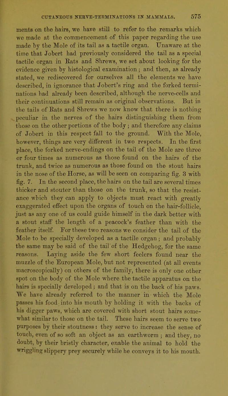 ments on the hairs, we have still to refer to the remarks which we made at the commencement of this paper regarding the use made by the Mole of its tail as a tactile organ. Unaware at the time that Jobert had previously considered the tail as a special tactile' organ in Eats and Shrews, we set about looking for the evidence given by histological examination; and then, as already stated, we rediscovered for ourselves all the elements we have described, in ignorance that Jobert's ring and the forked termi- nations liad ali-eady been described, although the nerve-cells and their continuations still remain as original observations. But in the tails of Eats and Shrews we now know that there is nothing peculiar in the nerves of the hairs distinguishing them from those on the other portions of the body ; and therefore any claims of Jobert in this respect fall to the ground. With the Mole, however, things are very different in two respects. In the first place, the forked nerve-endings on the tail of the Mole are three or four times as numerous as those found on the hairs of the trunk, and twice as numerous as those found on the stout hairs in the nose of the Horse, as will be seen on comparing fig. 3 with fig. 7. In the second place, the hairs on the tail are several times thicker and stouter than those on the trunk, so that the resist- ance which they can apply to objects must react with greatly exaggerated efiect upon the organs of touch on the hair-follicle, just as any one of us could guide himself in the dark better with a stout staff the length of a peacock's feather than with the feather itself. For these two reasons we consider the tail of the Mole to be specially developed as a tactile organ ; and probably the same may be said of the tail of the Hedgehog, for the same reasons. Laying aside the few short feelers found near the muzzle of the European Mole, but not represented (at all events macroscopicaUy) on others of the family, there is only one other spot on the body of the Mole where the tactile apparatus on the hairs is specially developed; and that is on the back of his paws. We have already referred to the manner in which the Mole passes his food into his mouth by holding it with the backs of his digger paws, which are covered with short stout hairs some- what similar to those on the tail. These hairs seem to serve two purposes by their stoutness: they serve to increase the sense of touch, even of so soft an object as an earthworm ; and they, no doubt, by their bristly character, enable the animal to hold the ^'ggl'^g slippery prey securely while he conveys it to his mouth.