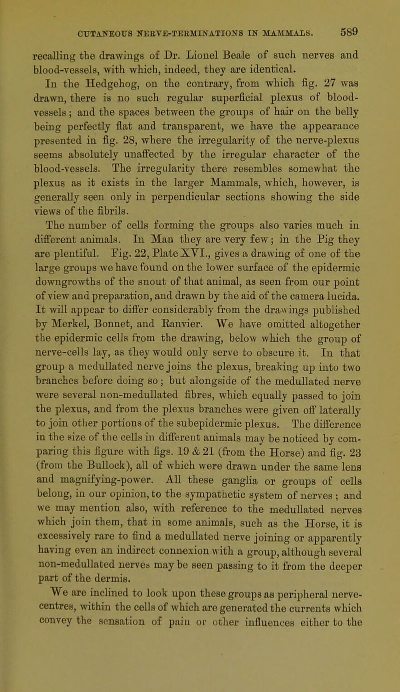 recalling the drawings of Dr. Lionel Beale of such nerves and blood-vessels, with which, indeed, they aa'e identical. In the Hedgehog, on the contrary, from which fig. 27 was drawn, there is no such regular superficial plexus of blood- vessels ; and the spaces between the groups of hair on the belly being perfectly flat and transparent, we have the appearance presented in fig. 28, where the irregularity of the nerve-plexus seems absolutely unaffected by the irregular character of the blood-vessels. The irregularity thiere resembles somewhat the plexus as it exists in the larger Mammals, which, however, is generally seen only in perpendicular sections showing the side views of the fibrils. The number of cells forming the groups also varies much in different animals. In Man they are very few; in the Pig tbey are plentiful. Fig. 22, Plate XVI., gives a drawing of one of the large groups we have found on the lower surface of the epidermic downgrowths of the snout of that animal, as seen from our point of view and preparation, and drawn by the aid of the camera lucida. It will appear to differ considerably from the draw ings published by Merkel, Bonnet, and Eanvier. We have omitted altogether the epidermic cells from the drawing, below which the group of nerve-cells lay, as they would only serve to obscure it. In that grouj) a medullated nerve joins the plexus, breaking up into two branches before doing so; but alongside of the medullated nerve were several uon-medullated fibres, whicb equally passed to join the plexus, and from the plexus branches were given off laterally to join other portions of the subepidermic plexus. The difference in the size of the cells in different animals may be noticed by com- paring this figure with figs. 19 & 21 (from the Horse) and fig. 23 (from the Bullock), all of which were drawn under the same lens and magnifying-power. All these ganglia or groups of cells belong, in our opinion, to the sympathetic system of nerves ; and we may mention also, with reference to the medullated nerves which join them, that in some animals, such as the Horse, it is excessively rare to find a medullated nerve joining or apparently having even an indirect connexion with a group, although several non-meduUated nerves may be seen passing to it from the deeper part of the dermis. We are inclined to look upon these groups as peripheral nerve- centres, within the cells of which are generated the currents which convey the sensation of pain or other influences either to the