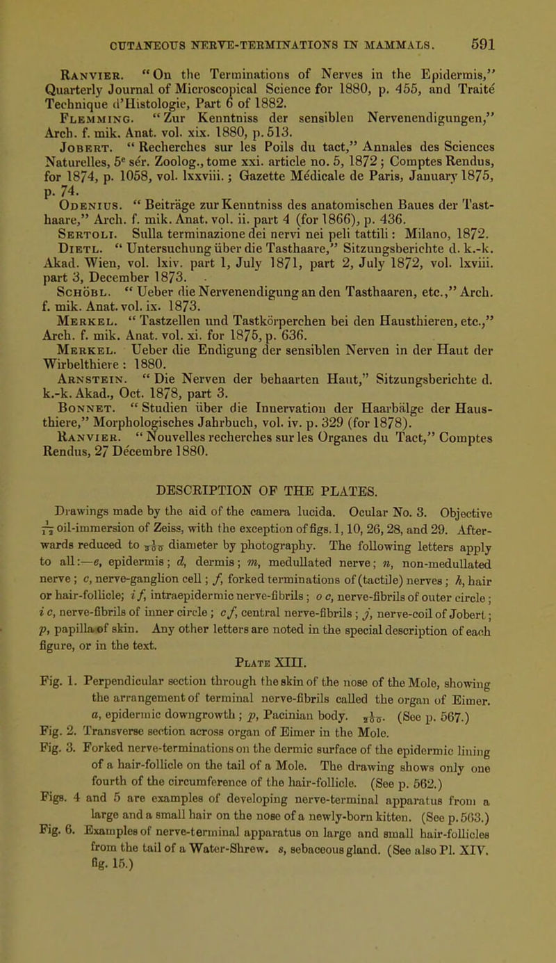 Ranvier. On the Terminations of Nerves in the Epidermis, Quarterly Journal of Microscopical Science for 1880, p. 455, and Traite Technique d'Histologie, Part 6 of 1882. Flemming. Zur Kenntniss der sensiblen Nervenendigungen, Arch. f. mik. Anat. vol. xix. 1880, p. 513. JoBERT. Recherches sur les Foils du tact, Annales des Sciences Naturelles, 5' ser. Zoolog., tome xxi. article no. 5, 1872; Comptes Rendus, for 1874, p. 1058, vol. Ixxviii.; Gazette Medicale de Paris, January 1875, Odenius. Beitrage zur Kenntniss des anatomischen Baues der Tast- haare, Arch. f. mik. Anat. vol. ii. part 4 (for 1866), p. 436. Sertoli. Sulla terminazione dei nervi nei peli tattili: Milano, 1872. Dietl. Untersuchung viber die Tasthaare, Sitzungsberichte d. k.-k. Akad. Wien, vol. Ixiv. part 1, July 1871, part 2, July 1872, vol. Ixviii. part 3, December 1873. ScHOBL. Ueber die Nervenendigung an den Tasthaaren, etc., Arch, f. mik. Anat. vol. ix. 1873. Merkel. Tastzellen und TastkSrperchen bei den Hausthieren, etc., Arch. f. mik. Anat. vol. xi. for 1875, p. 636. Merkel. Ueber die Endigung der sensiblen Nerven in der Haut der Wirbelthiere : 1880. Arnstein. Die Nerven der behaarten Haut, Sitzungsberichte d. k.-k. Akad., Oct. 1878, part 3. Bonnet. Studien iiber die Innervation der Haarbiilge der Haus- thiere, Morphologisches Jahrbuch, vol. iv. p. 329 (for 1878). Ranvier. Nouvelles recherches sur les Organes du Tact, Comptes Rendus, 27 De'cembre 1880. DESCEIPTION OF THE PLATES. Dj-awings made by the aid of the camera lucida. Ocular No. 3. Objective ~ oil-immersion of Zeiss, with the exception of figs. 1,10, 26,28, and 29. After- wards reduced to diameter by photography. The following letters apply to all:—e, epidermis ; d, dermis ; m, medullated nerve ; n, non-meduUated nerve ; c, nerve-gangUon cell; /, forked terminations of (tactile) nerves ; h, hair or hair-folUcle; if, intraepidermic nerve-fibrils ; 0 c, nerve-fibrils of outer circle; i c, nerve-fibrils of inner circle ; cf, central nerve-fibrils ; j, nerve-coil of Jobert; p, papilla of skin. Any other letters are noted in the special description of each figure, or in the text. Plate XIII. Fig. 1. Perpendicidar section through the skin of the nose of the Mole, showing the arrangement of terminal nerve-fibrils called the organ of Eimer. a, epidermic downgrowth ; Pacinian body. jjj. (See p. 567.) Fig. 2. Transverse section across oi-gan of Eimer in the Mole. Fig. 3. Forked nerve-terminations on tlie dermic surface of the epidermic lining of a hair-follicle on the tail of a Mole. The drawing shows only one fourth of the circumference of the hair-follicle. (See p. 562.) Figs. 4 and 5 are examples of developing nerve-terminal apparatus frou) a large and a small hair on the nose of a newly-born kitten. (See p. 503.) Fig. 6. Examples of nerve-tenninal apparatus on large and small hair-folliclee from the tail of a Water-Shrew, s, sebaceous gland. (See also PI. XIV. fig. 15.)