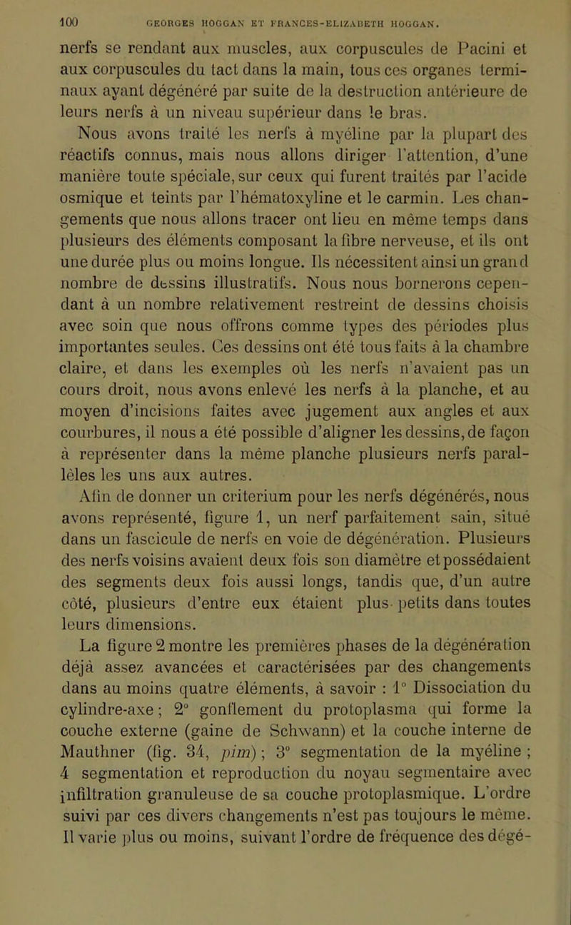 nerfs se rendant aux muscles, aux corpuscules de Pacini et aux corpuscules du lad dans la main, tous ces organes termi- naux ayant dégénéré par suite de la destruction antérieure de leurs nerfs à un niveau supérieur dans le bras. Nous avons traité les nerfs à myéline par la plupart des réactifs connus, mais nous allons diriger l'attention, d'une manière toute spéciale, sur ceux qui furent traités par l'acide osmique et teints par l'hématoxyline et le carmin. Les chan- gements que nous allons tracer ont lieu en même temps dans plusieurs des éléments composant la fibre nerveuse, et ils ont une durée plus ou moins longue. Ils nécessitent ainsi un grand nombre de dessins illustratifs. Nous nous bornerons cepen- dant à un nombre relativement restreint de dessins choisis avec soin que nous offrons comme types des périodes plus importantes seules. Ces dessins ont été tous faits à la chambre claire, et dans les exemples où les nerfs n'avaient pas un cours droit, nous avons enlevé les nerfs à la planche, et au moyen d'incisions faites avec jugement aux angles et aux courbures, il nous a été possible d'aligner les dessins, de façon à représenter dans la même planche plusieurs nerfs paral- lèles les uns aux autres. Alin de donner un critérium pour les nerfs dégénérés, nous avons représenté, figure 1, un nerf parfaitement sain, situé dans un fascicule de nerfs en voie de dégénération. Plusieurs des nerfs voisins avaient deux fois son diamètre et possédaient des segments deux fois aussi longs, tandis que, d'un autre côté, plusieurs d'entre eux étaient plus petits dans toutes leurs dimensions. La figure 2 montre les premières phases de la dégénération déjà assez avancées et caractérisées par des changements dans au moins quatre éléments, à savoir : 1 Dissociation du cylindre-axe ; 2 gonflement du protoplasma qui forme la couche externe (gaine de Schwann) et la couche interne de Mauthner (fig. 34, pi m) ; 3° segmentation de la myéline ; 4 segmentation et reproduction du noyau segmentaire avec infiltration granuleuse de sa couche protoplasmique. L'ordre suivi par ces divers changements n'est pas toujours le môme. Il varie plus ou moins, suivant l'ordre de fréquence desdégé-