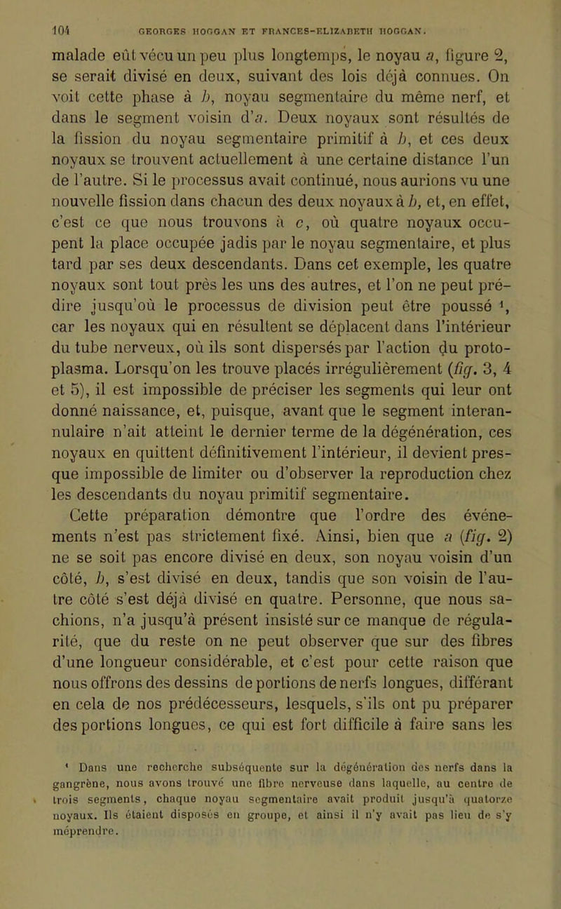 malade eût vécu un peu plus longtemps, le noyau a, figure 2, se serait divisé en deux, suivant des lois déjà connues. On voit cette phase à b, noyau segmentaire du même nerf, et dans le segment voisin d'fl. Deux noyaux sont résultés de la fission du noyau segmentaire primitif à b, et ces deux noyaux se trouvent actuellement à une certaine distance l'un de l'autre. Si le processus avait continué, nous aurions vu une nouvelle fission dans chacun des deux noyaux à/j, et, en effet, c'est ce que nous trouvons à c, où quatre noyaux occu- pent la place occupée jadis par le noyau segmentaire, et plus tard par ses deux descendants. Dans cet exemple, les quatre noyaux sont tout près les uns des autres, et l'on ne peut pré- dire jusqu'où le processus de division peut être poussé % car les noyaux qui en résultent se déplacent dans l'intérieur du tube nerveux, où ils sont dispersés par l'action çlu proto- plasma. Lorsqu'on les trouve placés irrégulièrement {ficf. 3, 4 et 5), il est impossible de préciser les segments qui leur ont donné naissance, et, puisque, avant que le segment interan- nulaire n'ait atteint le dernier terme de la dégénération, ces noyaux en quittent définitivement l'intérieur, il devient pres- que impossible de limiter ou d'observer la reproduction chez les descendants du noyau primitif segmentaire. Cette préparation démontre que l'ordre des événe- ments n'est pas strictement fixé. Ainsi, bien que a {fig. 2) ne se soit pas encore divisé en deux, son noyau voisin d'un côté, b, s'est divisé en deux, tandis que son voisin de l'au- tre côté s'est déjà divisé en quatre. Personne, que nous sa- chions, n'a jusqu'à présent insisté sur ce manque de régula- rité, que du reste on ne peut observer que sur des fibres d'une longueur considérable, et c'est pour cette raison que nous offrons des dessins de portions de nerfs longues, différant en cela de nos prédécesseurs, lesquels, s'ils ont pu préparer des portions longues, ce qui est fort difficile à faire sans les * Daus une rechcrcho subséquente sur la dégénéralion des nerfs dans la gangrène, nous avons trouvé une fibre nerveuse dans laquelle, au centre de trois segments, chaque noyau segmentaire avait produit jusqu'à quatorze noyaux. Ils étaient disposés en groupe, et ainsi il n'y avait pas lieu de s'y méprendre.