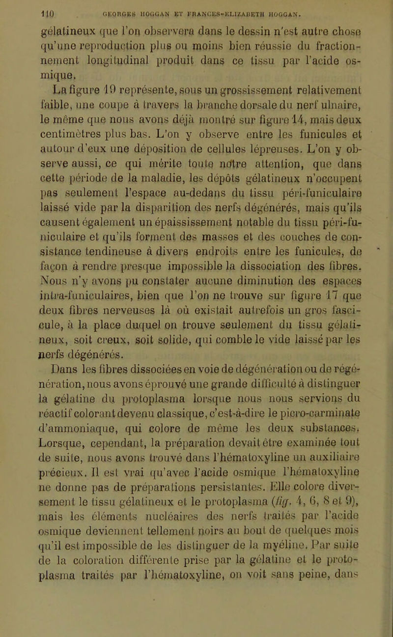 gélatineux que l'on observera dans le dessin n'est autre chose qu'une reproduction plug ou moins bien réussie du fraction- neinent longiludinal produit dans ce tissu par l'acide os- mique. La figure 19 représente, sous un grossissement relativement faible, une coupe à travers la branche dorsale du nerfulnaire, le même que nous avons déjà montré sur figui-e 14, mais deux centimètres plus bas. L'on y observe entre les funicules et autour d'eux une déposition de cellules lépreuses. L'on y ob- serve aussi, ce qui mérite toute notre attention, que dans cette période de la maladie, les dépôts gélatineux n'occupent pas seulement l'espace au-dedans du tissu péri-luniculaire laissé vide par la disparition des nerfs dégénérés, mais qu'ils causent également un épaississemcnt notable du tissu péri-fu- niculaire et qu'ils forment des masses et des couches de con- sistance tendineuse à divers endroits entre les funicules, de façon à rendre presque impossible la dissociation des libres. Nous n'y avons pu constater aucune diminution des espaces inti'a-funiculaires, bien que l'on ne trouve sur figure 17 que deux fibres nerveuses là où existait autrefois un gros fasci- cule, à la place duquel on trouve seulement du tissu gélalir neux, soit creux, soit solide, qui comble le vide laissé par les jierfs dégénérés. Dans les fibres dissociées en voie de dégéncration ou de régé- nération, nous avons éprouvé une grande difficulté à distinguer la gélatine du protoplasma lorsque nous nous servions du réactif colorant devenu classique, c'est-à-dire le picro-carminate d'ammoniaque, qui colore de même les deux substances. Lorsque, cependant, la préparation devait être examinée tout de suite, nous avons trouvé dans l'hématoxyline un auxiliaire précieux. Il est vrai qu'avec l'acide osmique l'hématoxyline ne donne pas de préparations persistantes. Elle colore diver- sement le tissu gélatineux et le protoplasma (fiff. i, 6, 8 et 9), mais les cléments nucléaires des nerfs traités par l'acide osmique deviennent tellement noirs au bout de ([uelques mois qu'il est impossible de les distinguer de la myéline. Par suite de la coloration différente prise par la gélatine et le proto- plasma traités par l'hématoxyline, on voit sans peine, dans