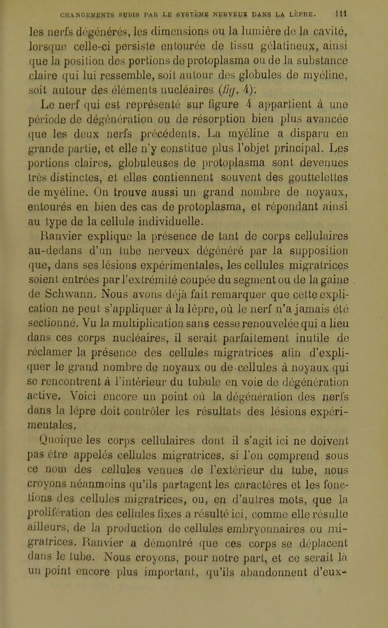 les nerfs dégénérés, les dimensions ou la lumière de la cavité, lorsque celle-ci persiste entourée de tissu gélatineux, ainsi que la position des portions de protoplasma ou de la substance claire qui lui ressemble, soit autour des globules de myéline, soit autour des éléments nucléaires (fi(/. A). Le nerf qui est représenté sur figure 4 appartient à une période de dégénération ou de résorption bien plus avancée que les deux nerfs précédents. La myéline a disparu en grande partie, et elle n'y cowstitue plus l'objet principal. Les portions claires, globuleuses de protoplasma sont devenues très distinctes, et elles contiennent souvent des gouttelettes de myéline. On trouve aussi un grand nombre de noyaux, entourés en bien des cas de protoplasma, et répondant ainsi au type de la cellule individuelle. Hanvier explique la présence de tant de corps cellulaires au-dedans d'un tube nerveux dégénéré par la supposition que, dans ses lésions expérimentales, les cellules migratrices soient entrées par l'extrémité coupée du segment ou de la gaine de Schwann. Nous avons déjà fait remarquer que cette expli- cation ne peut s'appliquer à la lèpre, où le nerf n'a jamais été sectionné. Vu la multiplication sans cesse renouvelée qui a lieu dans ces corps nucléaires, il serait parfaitement inutile de réclamer la présence des cellules migratrices afin d'expli- quer le grand nombre de noyaux ou de cellules à noyaux qui se rencontrent à l'intérieur du lubule en voie de dégénération active. Voici encore un point où la dégénération des nerfs dans la lèpre doit contrôler les résultats des lésions expéri- mentales. Quoique les corps cellulaires dont il s'agit ici ne doivent pas être appelés cellules migratrices, si l'on comprend sous ce nom des cellules venues de l'extérieur du tube, nous croyons néanmoins qu'ils partagent les caractères et les fonc- tions des cellules migratrices, ou, en d'autres mots, que la prolifération des cellules lixes a résulté ici, comme elle résulte ailleurs, de la profluction de cellules embryonnaires ou mi- gratrices. Pianvier a démontré que ces corps se déplacent dans le tube. Nous croyons, pour notre part, et ce serait Li un point encore plus important, qu'ils abandonnent d'eux-