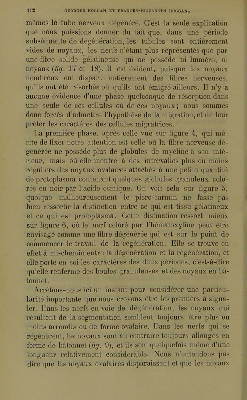 mêmes le tube nerveux dé£^-énéré. C'est la seule explication que nous puissions donner du fait que, dans une période subséquente de dégénéralion, les tubulcs sont entièrement vides de noyaux, les nerfs n'étant plus représentés que par une fibre solide gélatineuse qui ne possède ni lumière, ni noyaux (%. 17 et 18). Il est évident, puisque les noyaux nombreux ont disparu entièrement des libres nerveuses, ({u'ils ont été résorbés où qu'ils ont émigré ailleurs. Il n'y a aucune évidence d'une phase quelconque de résorption dans une seule de ces cellules ou de ces noyaux; nous sommes donc forcés d'admettre l'hypothèse de la migration, et de leur prêter les caractères des cellules migratrices. La première phase, après celle vue sur figure 4, qui mé- rite de fixer notre attention est celle où la fibre nerveuse dé- générée ne possède plus de globules de myéline à son inté- rieur, mais où elle montre à des intervalles plus ou moins réguliers des noyaux ovalaires attachés à une petite quantité de protoplasma contenant quelques globules granuleux colo- rés en noir par l'acide osmique. On voit cela sur figure 5, quoique malheureusement le picro-carmin ne fasse pas bien ressortir la distinction entre ce qui est tissu gélatineux et ce qui est protoplasma. Cette distinction ressort mieux sur figure 6, où le nerf coloré par l'hématoxyline peut être envisagé comme une fibre dégénérée qui est sur le point de commencer le travail de la régénération. Elle se trouve en effet à mi-chemin entre la dégénération et la régénération, et elle poi'te en soi les caractères des deux périodes, c'est-à-dire qu'elle renferme des boules granuleuses et des noyaux en bâ- tonnet. Arrêtons-nous ici un instant pour considérer une particu- larité importante que nous croyons être les premiers à signa- ler. Dans les nerfs en voie de dégénération, les noyaux qui résultent de la segmentation semblent toujours être plus ou moins arrondis ou de forme ovalaire. Dans les nerfs qui se régénèrent, les noyaux sont au contraire toujours allongés en forme de bâtonnet {Hcf. *,)), et ils sont quelquefois même d'une longueur relativement considérable. Nous n'entendons pas dire que les noyaux ovalaires disparaissent et que les noyaux