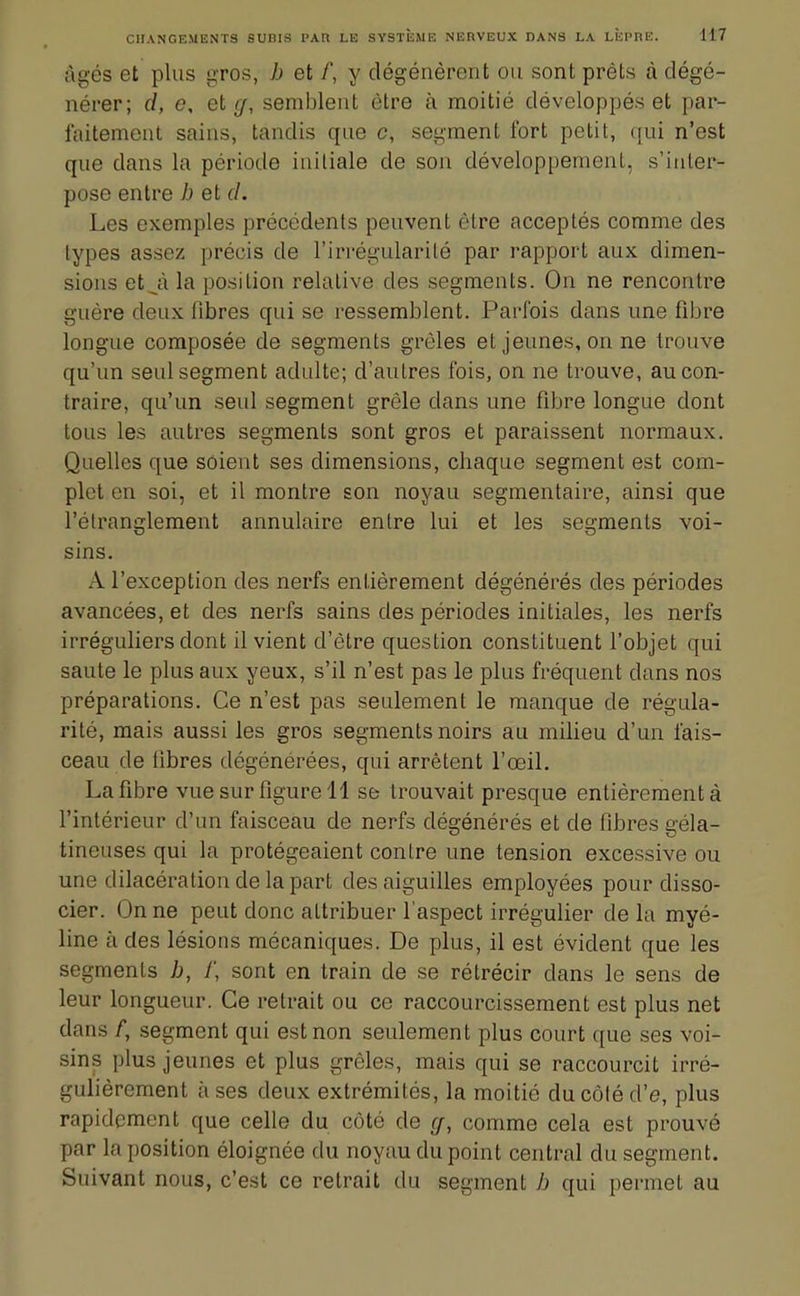 ngés et plus gros, h et /, y dégénèrent ou sont prêts à dégé- nérer; d, e, et cf, semblent être à moitié développés et par- faitement sains, tandis que c, segment fort petit, qui n'est que dans la période initiale de son développement, s'inter- pose entre h et cl. Les exemples précédents peuvent être acceptés comme des types assez précis de l'irrégularité par rapport aux dimen- sions etji la position relative des segments. On ne rencontre guère deux fibres qui se ressemblent. Parfois dans une fibre longue composée de segments grêles et jeunes, on ne trouve qu'un seul segment adulte; d'autres fois, on ne trouve, au con- traire, qu'un seul segment grêle dans une fibre longue dont tous les autres segments sont gros et paraissent normaux. Quelles que soient ses dimensions, chaque segment est com- plet en soi, et il montre son noyau segmentaire, ainsi que l'élranglement annulaire entre lui et les segments voi- sins. A l'exception des nerfs entièrement dégénérés des périodes avancées, et des nerfs sains des périodes initiales, les nerfs irréguliers dont il vient d'être question constituent l'objet qui saute le plus aux yeux, s'il n'est pas le plus fréquent dans nos préparations. Ce n'est pas seulement le manque de régula- rité, mais aussi les gros segments noirs au milieu d'un fais- ceau de libres dégénérées, qui arrêtent l'œil. La fibre vue sur figure 11 se trouvait presque entièrement à l'intérieur d'un faisceau de nerfs dégénérés et de fibres géla- tineuses qui la protégeaient contre une tension excessive ou une dilacération de lapart des aiguilles employées pour disso- cier. On ne peut donc attribuer l'aspect irrégulier de la myé- line à des lésions mécaniques. De plus, il est évident que les segments b, t\ sont en train de se rétrécir dans le sens de leur longueur. Ce retrait ou ce raccourcissement est plus net dans /, segment qui est non seulement plus court que ses voi- sins plus jeunes et plus grêles, mais qui se raccourcit irré- gulièrement à ses deux extrémités, la moitié du côté d'e, plus rapidement que celle du côté de </, comme cela est prouvé par la position éloignée du noyau du point central du segment. Suivant nous, c'est ce retrait du segment b qui permet au