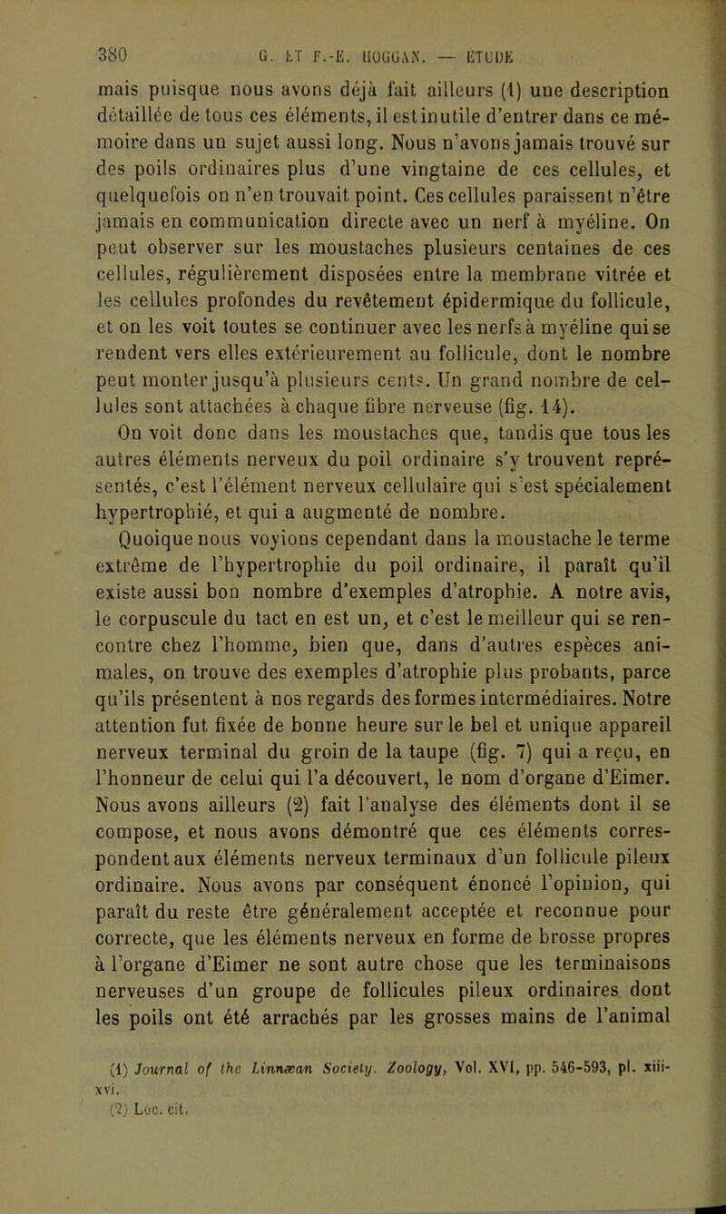 mais puisque nous avons déjà fait ailleurs (4) une description détaillée de tous ces éléments, il est inutile d'entrer dans ce mé- moire dans un sujet aussi long. Nous n'avons jamais trouvé sur des poils ordinaires plus d'une vingtaine de ces cellules, et quelquefois on n'en trouvait point. Ces cellules paraissent n'être jamais en communication directe avec un nerf à myéline. On peut observer sur les moustaches plusieurs centaines de ces cellules, régulièrement disposées entre la membrane vitrée et les cellules profondes du revêtement épidermique du follicule, et on les voit toutes se continuer avec les nerfs à myéline qui se rendent vers elles extérieurement au follicule, dont le nombre peut monter jusqu'à plusieurs cent?. Un grand nombre de cel- lules sont attachées à chaque fibre nerveuse (fig. 14). On voit donc dans les moustaches que, tandis que tous les autres éléments nerveux du poil ordinaire s'y trouvent repré- sentés, c'est l'élément nerveux cellulaire qui s'est spécialement hypertrophié, et qui a augmenté de nombre. Quoique nous voyions cependant dans la moustache le terme extrême de l'hypertrophie du poil ordinaire, il paraît qu'il existe aussi bon nombre d'exemples d'atrophie. A notre avis, le corpuscule du tact en est un, et c'est le meilleur qui se ren- contre chez l'homme, bien que, dans d'autres espèces ani- males, on trouve des exemples d'atrophie plus probants, parce qu'ils présentent à nos regards des formes intermédiaires. Notre attention fut fixée de bonne heure sur le bel et unique appareil nerveux terminal du groin de la taupe (fig. 7) qui a reçu, en l'honneur de celui qui l'a découvert, le nom d'organe d'Eimer. Nous avons ailleurs (2) fait l'analyse des éléments dont il se compose, et nous avons démontré que ces éléments corres- pondent aux éléments nerveux terminaux d'un follicule pileux ordinaire. Nous avons par conséquent énoncé l'opinion, qui paraît du reste être généralement acceptée et reconnue pour correcte, que les éléments nerveux en forme de brosse propres à l'organe d'Eimer ne sont autre chose que les terminaisons nerveuses d'un groupe de follicules pileux ordinaires dont les poils ont été arrachés par les grosses mains de l'animal (1) Journal of the Linmean Society. Zoology, Vol. XVI, pp. 546-593, pl. xiii- xvi. (2) Loc. cit.