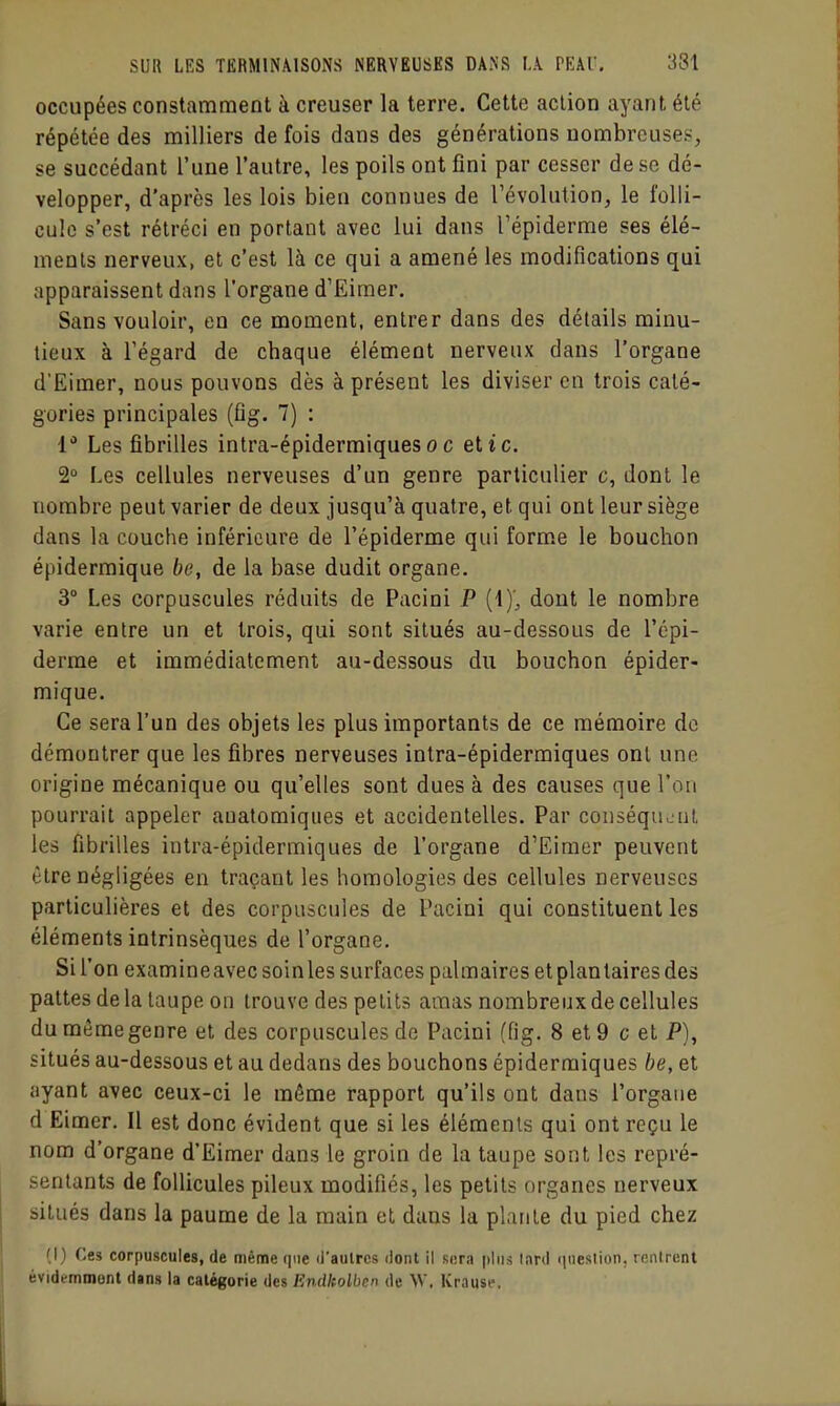 occupées constamment à creuser la terre. Cette action ayant été répétée des milliers de fois dans des générations nombreuses, se succédant l'une l'autre, les poils ont fini par cesser de se dé- velopper, d'après les lois bien connues de l'évolution, le folli- cule s'est rétréci en portant avec lui dans Tépiderme ses élé- ments nerveux, et c'est là ce qui a amené les modifications qui apparaissent dans l'organe d'Eimer. Sans vouloir, en ce moment, entrer dans des détails minu- tieux à l'égard de chaque élément nerveux dans l'organe d'Eimer, nous pouvons dès à présent les diviser en trois caté- gories principales (fig. 7) : 1* Les fibrilles intra-épidermiques o c etic. 2° Les cellules nerveuses d'un genre particulier c, dont le nombre peut varier de deux jusqu'à quatre, et qui ont leur siège dans la couche inférieure de l'épiderme qui forme le bouchon épidermique bo, de la base dudit organe. 3° Les corpuscules réduits de Pacini P {{)', dont le nombre varie entre un et trois, qui sont situés au-dessous de l'épi- derme et immédiatement au-dessous du bouchon épider- mique. Ce sera l'un des objets les plus importants de ce mémoire do démontrer que les fibres nerveuses intra-épidermiques ont une origine mécanique ou qu'elles sont dues à des causes que l'on pourrait appeler auatomiqiies et accidentelles. Par coiiséqu-jut, les fibrilles intra-épidermiques de l'organe d'Eimer peuvent être négligées en traçant les homologies des cellules nerveuses particulièi'es et des corpuscules de Pacini qui constituent les éléments intrinsèques de l'organe. Si l'on examineavecsoinles surfaces palmaires et plantaires des pattes delà taupe on trouve des petits amas nombreux de cellules du même genre et des corpuscules de Pacini (fig, 8 et 9 c et P), situés au-dessous et au dedans des bouchons épiderraiques be, et ayant avec ceux-ci le même rapport qu'ils ont dans l'organe d Eimer. Il est donc évident que si les éléments qui ont reçu le nom d'organe d'Eimer dans le groin de la taupe sont les repré- sentants de follicules pileux modifiés, les petits organes nerveux situés dans la paume de la main et dans la plante du pied chez (I) Ces corpuscules, de même que il'aulrcs dont il sern plus lani qiieslion, renlrenl évidemment dans la catégorie des Endkolben de W. Kraust*.