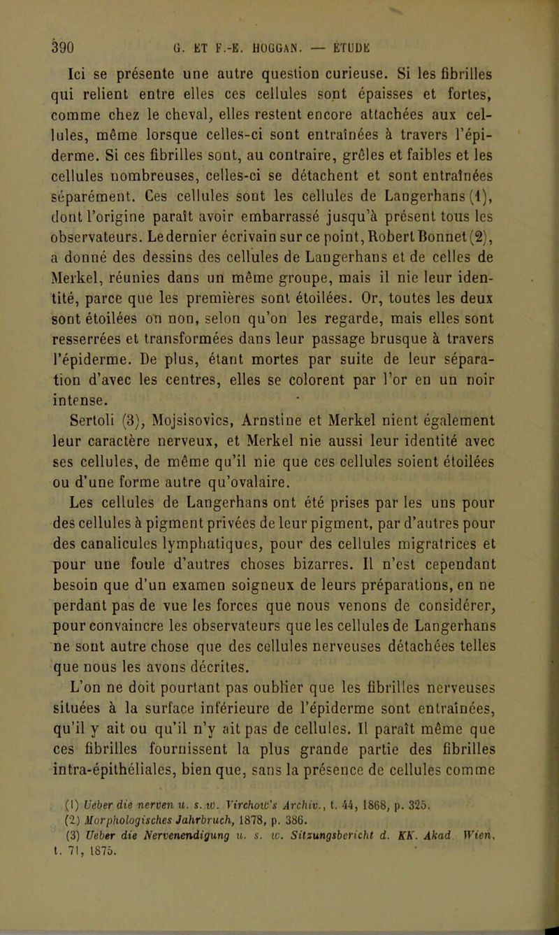 Ici se présente une autre question curieuse. Si les fibrilles qui relient entre elles ces cellules sont épaisses et fortes, comme chez le cheval, elles restent encore attachées aux cel- lules, même lorsque celles-ci sont entraînées à travers l'épi- derme. Si ces fibrilles sont, au contraire, grêles et faibles et les cellules nombreuses, celles-ci se détachent et sont entraînées séparément. Ces cellules sont les cellules de Langerhans (1), dont l'origine paraît avoir embarrassé jusqu'à présent tous les observateurs. Le dernier écrivain sur ce point, Robert Bonnet (2), a donné des dessins des cellules de Langerhans et de celles de Merkel, réunies dans un même groupe, mais il nie leur iden- tité, parce que les premières sont étoilées. Or, toutes les deux sont étoilées on non, selon qu'on les regarde, mais elles sont resserrées et transformées dans leur passage brusque à travers l'épiderme. De plus, étant mortes par suite de leur sépara- tion d'avec les centres, elles se colorent par l'or en un noir intense. Sertoli (3), Mojsisovics, Arnstine et Merkel nient également leur caractère nerveux, et Merkel nie aussi leur identité avec ses cellules, de même qu'il nie que ces cellules soient étoilées ou d'une forme autre qu'ovalaire. Les cellules de Langerhans ont été prises par les uns pour des cellules à pigment privées de leur pigment, par d'autres pour des canalicules lymphatiques, pour des cellules migratrices et pour une foule d'autres choses bizarres. Il n'est cependant besoin que d'un examen soigneux de leurs préparations, en ne perdant pas de vue les forces que nous venons de considérer, pour convaincre les observateurs que les cellules de Langerhans ne sont autre chose que des cellules nerveuses détachées telles que nous les avons décrites. L'on ne doit pourtant pas oublier que les fibrilles nerveuses situées à la surface inférieure de l'épiderme sont entraînées, qu'il y ait ou qu'il n'y ait pas de cellules. Il paraît même que ces fibrilles fournissent la plus grande partie des fibrilles intra-épithéliales, bien que, sans la présence de cellules comme (1) Ueber die nerven tt. s. iti. Virchotti's Àrchiv., t. 44, 1868, p. 325, (2) Morphologisches Jahrbruch, 1878, p. 386. (3) Ueber die Nervenendigung u. s. w. Silsungsbcricht d. KK. Akad Wien, t. 71, 1875.