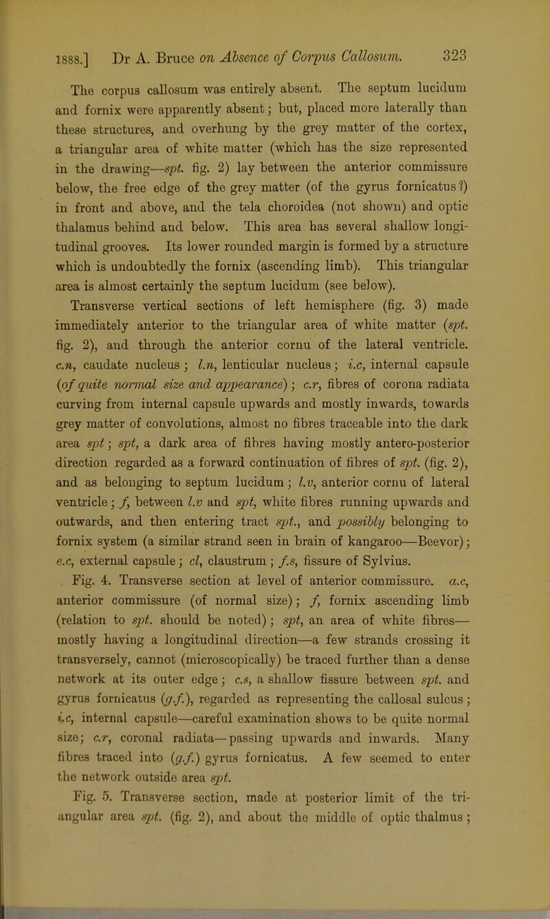 The corpus callosum was entirely absent. The septum lucidum and fornix were apparently absent; but, placed more laterally than these structures, and overhung by the grey matter of the cortex, a triangular area of white matter (which has the size represented in the drawing—spt. fig, 2) lay between the anterior commissure below, the free edge of the grey matter (of the gyrus fornicatus ?) in front and above, and the tela choroidea (not shown) and optic thalamus behind and below. This area has several shallow longi- tudinal grooves. Its lower rounded margin is formed by a structure which is undoubtedly the fornix (ascending limb). This triangular area is almost certainly the septum lucidum (see below). Transverse vertical sections of left hemisphere (fig. 3) made immediately anterior to the triangular area of white matter {spt. fig. 2), and through the anterior cornu of the lateral ventricle. c.n, caudate nucleus; l.n, lenticular nucleus; i.c, internal capsule {of quite normal size and appea7'ance); c.r, fibres of corona radiata curving from internal capsule upwards and mostly inwards, towards grey matter of convolutions, almost no fibres traceable into the dark area spt; spt, a dark area of fibres having mostly antero-posterior direction regarded as a forward continuation of fibres of spt. (fig. 2), and as belonging to septum lucidum; l.v, anterior cornu of lateral ventricle; /, between l.v and spt, white fibres running upwards and outwards, and then entering tract spt., and possibly belonging to fornix system (a similar strand seen in brain of kangaroo—Beevor); e.c, external capsule; cl, claustrum ; f.s, fissure of Sylvius. . Fig. 4. Transverse section at level of anterior commissure, a.c, anterior commissure (of normal size); /, fornix ascending limb (relation to spt. should be noted); spt, an area of white fibres— mostly having a longitudinal direction—a few strands crossing it transversely, cannot (microscopically) be traced further than a dense network at its outer edge; c.s, a shallow fissure between spt. and gyrus fornicatus (</./.), regarded as representing the callosal sulcus; i.c, internal capsule—careful examination shows to be quite normal size; c.r, coronal radiata—passing upwards and inwards. Many fibres traced into {g.f) gyrus fornicatus. A few seemed to enter the network outside area sjit. Fig. 5. Transverse section, made at posterior limit of the tri- angular area spt. (fig. 2), and about the middle of optic thalmus;