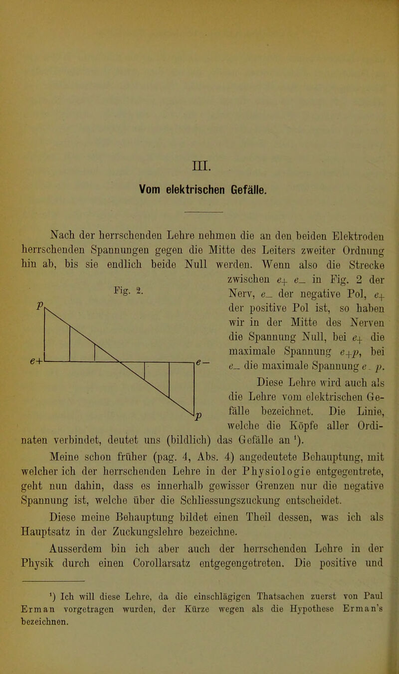 m. Vom elektrischen Gefälle. Nach der herrsclienden Lehre nehmen die an den beiden Elektroden herrschenden Spannungen gegen die Mitte des Leiters zweiter Ordnung hin ab, bis sie endlich beide Null werden. Wenn also die Strecke zwischen 6+ e_ in Fig. 2 der naten verbindet, deutet uns (bildlich) das Gefälle an'). Meine scbou früher (pag. 4, Abs. 4) angedeutete Behauptung, mit welcher ich der herrschenden Lohre in der Physiologie entgegentrete, geht nun dahin, dass es innerhalb gewisser Grenzen nur die negative Spannung ist, welche über die Schliessungszuckung entscheidet. Diese meine Behauptung bildet einen Theil dessen, was ich als Hauptsatz in der Zuckungslehre bezeichne. Ausserdem bin ich aber auch der herrschenden Lehre in der Physik durch einen Corollarsatz entgegengetreten. Die positive und Fig. 2. Nerv, e_ der negative Pol, e^. der positive Pol ist, so haben wir in der Mitte des Nerven die Spannung Null, bei die maximale Spannung e^j?, bei ö_ die maximale Spannung e. p. P Diese Lehre wird auch als die Lehre vom elektrischen Ge- fälle bezeichnet. Die Linie, welche die Köpfe aller Ordi- ') Ich will diese Lehre, da die einschlägigen Thatsachcn zuerst von Paul Erman vorgetragen wurden, der Kürze wegen als die Hypothese Erman's ■bezeichnen.