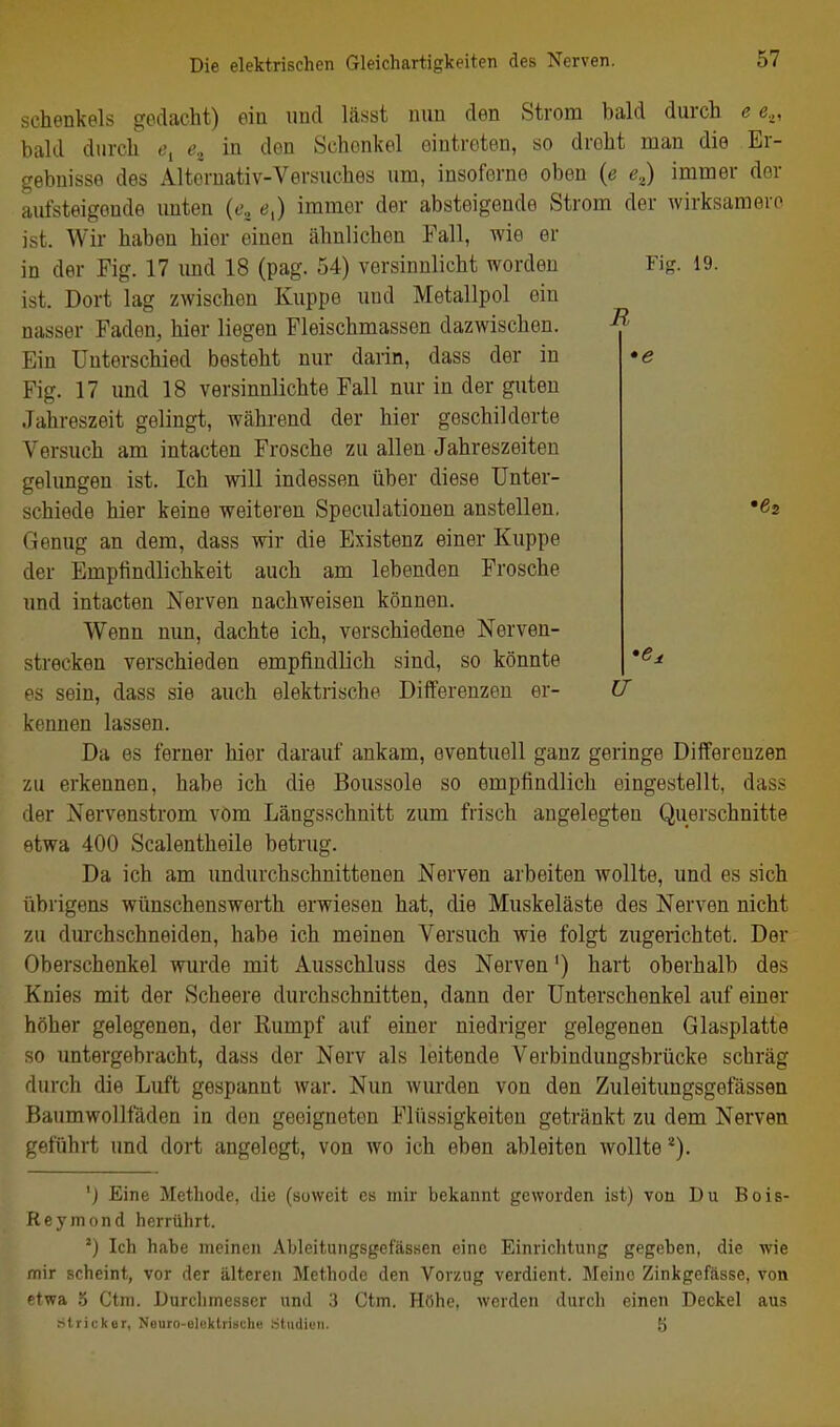 Fig. 19. R Schenkels gedacht) ein imd lä.sst nun den Strom bald durch e e.,, bald durch <?, e, in den Schenkel eintreten, so droht man die Er- gebnisse des Alte'rnativ-Versuches um, insoferne oben (e e.,) immer der aufsteigende imten {e., e^) immer der absteigende Strom der wirksamere ist. Wir haben hier einen ähnlichen Fall, wie er in der Fig. 17 und 18 (pag. 54) versinnlicht worden ist. Dort lag zwischen Kuppe und Metallpol ein nasser Faden, hier liegen Fleischmassen dazwischen. Ein Unterschied besteht nur darin, dass der in Fig. 17 imd 18 versinnlichte Fall nur in der guten Jahreszeit gelingt, während der hier geschilderte Versuch am intacten Frosche zu allen Jahreszeiten gelungen ist. Ich will indessen über diese Unter- schiede hier keine weiteren Speculationen anstellen. Genug an dem, dass wir die Existenz einer Kuppe der Empfindlichkeit auch am lebenden Frosche und intacten Nerven nachweisen können. Wenn nun, dachte ich, verschiedene Nerven- strecken verschieden empfindlich sind, so könnte es sein, dass sie auch elektrische Differenzen er- W kennen lassen. Da es ferner hier darauf ankam, eventuell ganz geringe Differenzen zu erkennen, habe ich die Boussole so empfindlich eingestellt, dass der Nervenstrom vom Längsschnitt zum frisch angelegten Querschnitte etwa 400 Scalentheile betrug. Da ich am undurchschnittenen Nerven arbeiten wollte, und es sich übrigens wünschenswerth erwiesen hat, die Muskeläste des Nerven nicht zu durchschneiden, habe ich meinen Versuch wie folgt zugerichtet. Der Oberschenkel wurde mit Ausschluss des Nerven') hart oberhalb des Knies mit der Scheere durchschnitten, dann der Unterschenkel auf einer höher gelegenen, der Rumpf auf einer niedriger gelegenen Glasplatte so untergebracht, dass der Nerv als leitende Verbindungsbrücke schräg durch die Luft gespannt war. Nun wurden von den Zuleitungsgefässen Baumwollfäden in den geeigneten Flüssigkeiten getränkt zu dem Nerven geführt und dort angelegt, von wo ich eben ableiten wollte *). ') Eine Methode, die (soweit es mir bekannt geworden ist) von Du Bois- Reymond herrührt. Ich habe meinen Ableitungsgef'ässen eine Einrichtung gegeben, die wie mir scheint, vor der älteren Methode den Vorzug verdient. Meine Zinkgefässe, von 'twa 5 Ctm. Durchmesser und 3 Ctm. Höhe, werden durch einen Deckel aus Stricker, Nouro-elektriach« .Stiidifii. Ö