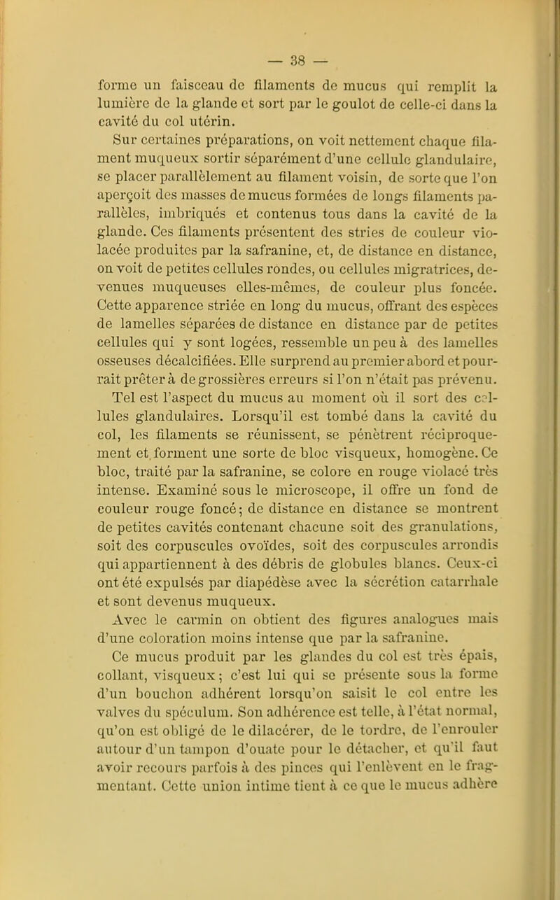 forme un faisceau de filaments de mucus qui remplit la lumière de la glande et sort par le goulot de celle-ci dans la cavité du col utérin. Sur certaines préparations, on voit nettement chaque fila- ment muqueux sortir séparément d'une cellule glandulaire, se placer parallèlement au filament voisin, de sorte que l'on aperçoit dos masses de mucus formées de longs filaments pa- rallèles, imloriqucs et contenus tous dans la cavité de la glande. Ces filaments présentent des stries de couleur vio- lacée produites par la safranine, et, de distance en distance, on voit de petites cellules rondes, ou cellules migratrices, de- venues muqueuses elles-mêmes, de couleur plus foncée. Cette apparence striée en long du mucus, offrant des espèces de lamelles séparées de distance en distance par de petites cellules qui y sont logées, ressemble un peu à des lamelles osseuses décalcifiées. Elle surprend au premier abord et pour- rait prêter à de grossières erreurs si l'on n'était pas prévenu. Tel est l'aspect du mucus au moment où il sort des cel- lules glandulaires. Lorsqu'il est tombé dans la cavité du col, les filaments se réunissent, se pénètrent réciproque- ment et. forment une sorte de bloc visqueux, homogène. Ce bloc, traité par la safranine, se colore en rouge violacé très intense. Examiné sous le microscope, il offre un fond de couleur rouge foncé; de distance en distance se montrent de petites cavités contenant chacune soit des granulations, soit des corpuscules ovoïdes, soit des corpuscules arrondis qui appartiennent à des débris de globules blancs. Ceux-ci ont été expulsés par diapédèse avec la sécrétion catarrhale et sont devenus muqueux. Avec le carmin on obtient des figures analogues mais d'une coloration moins intense que par la safranine. Ce mucus produit par les glandes du col est très épais, collant, visqueux; c'est lui qui se présente sous la forme d'un bouchon adhérent lorsqu'on saisit le col entre les valves du spéculum. Son adhérence est telle, à l'état normal, qu'on est oliligé de le dilacérer, de le tordre, de l'enrouler autour d'un tampon d'ouate pour le détacher, et qu'il faut avoir recours parfois à des pinces qui l'enlèvent en le frag- mentant. Cette union intime tient à ce que le mucus adhère