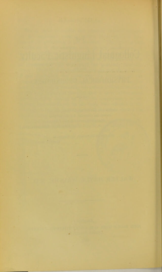 digitised image 2