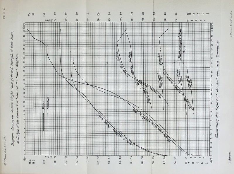 Diagram showing the Stature. Weight., Chest girthand Strength of both hares, aluU /-Lies of the General PapidMUorV of the/ l/ruled' Kingdom. •oltiswoode & C°Lith, Zondo>z.