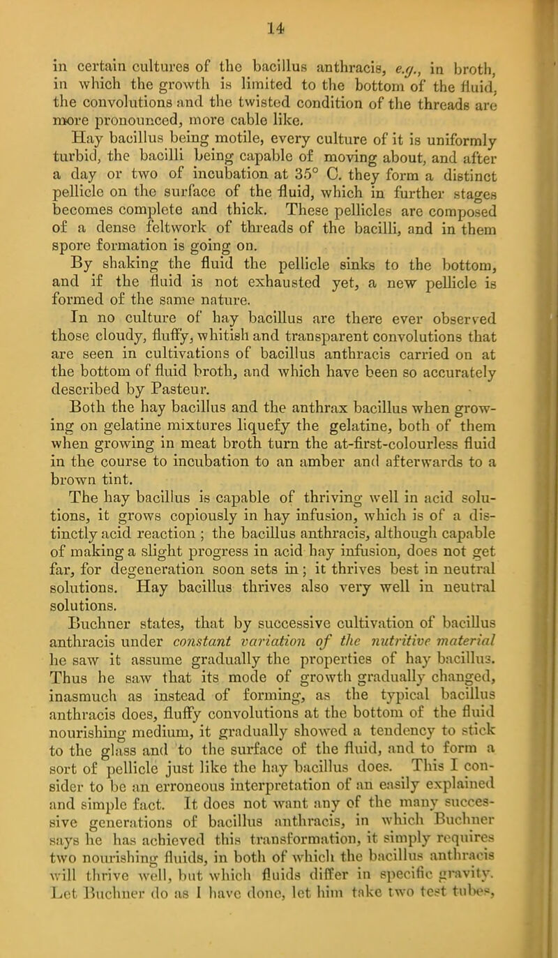 in cei'tain cultures of the bacillus anthracis, e.g., in broth, in which the growth is limited to the bottom of the fluid, the convolutions and the twisted condition of the threads are more pronounced, more cable like. Hay bacillus being motile, every culture of it is uniformly turbid, the bacilli being capable of moving about, and after a day or two of incubation at 35° C, they form a distinct pellicle on the surface of the fluid, which in further stages becomes complete and thick. These pellicles are composed of a dense feltwork of threads of the bacilli, and in them spore formation is going on. By shaking the fluid the pellicle sinks to the bottom, and if the fluid is not exhausted yet, a new pellicle is formed of the same nature. In no culture of hay bacillus are there ever observed those cloudy, fluffy, whitish and transparent convolutions that are seen in cultivations of bacillus anthracis carried on at the bottom of fluid broth, and which have been so accurately described by Pasteur, Both the hay bacillus and the anthrax bacillus when grow- ing on gelatine mixtures liquefy the gelatine, both of them when growing in meat broth turn the at-first-colourless fluid in the course to incubation to an amber and afterwards to a brown tint. The hay bacillus is capable of thriving well in acid solu- tions, it grows copiously in hay infusion, which is of a dis- tinctly acid reaction ; the bacillus anthracis, although capable of making a slight progress in acid hay infusion, does not get far, for degeneration soon sets ia ; it thrives best in neutral solutions. Hay bacillus thrives also very well in neutral solutions. Buchner states, that by successive cultivation of baciUus anthracis under comtant variation of the nutritive material he saw it assume gradually the properties of hay bacillus. Thus he saw that its mode of growth gradually changed, inasmuch as instead of forming, as the typical bacillus anthracis does, fluffy convolutions at the bottom of the fluid nourishing medium, it gradually showed a tendency to stick to the glass and to the surface of the fluid, and to form a sort of pellicle just like the hay bacillus does. This I con- sider to be an erroneous interpretation of an easily explained and simple fact. It docs not want any of the many succes- sive generations of bacillus anthracis, in which Buchner says he has achieved this transformation, it simply roquires two noiu-ishing fluids, in both of which the bacillus anthriicis will thrive well, but which fluids differ in specific gravity. Let Buchner do as I have done, let him take two test tul>es,