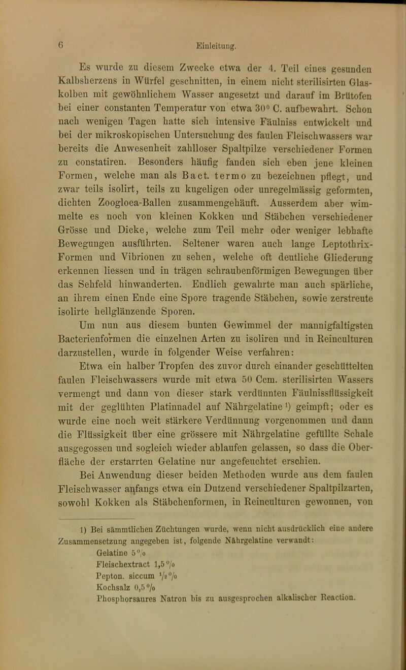 Es wurde zu diesem Zwecke etwa der 4. Teil eines gesunden Kalbsherzens in Würfel geschnitten, in einem nicht sterilisirten Glas- kolben mit gewöhnlichem Wasser angesetzt und darauf im Brutofen bei einer constanten Temperatur von etwa 30° C. aufbewahrt. Schon nach wenigen Tagen hatte sich intensive Fäulniss entwickelt und bei der mikroskopischen Untersuchung des faulen Fleischwassers war bereits die Anwesenheit zahlloser Spaltpilze verschiedener Formen zu constatiren. Besonders häufig fanden sich eben jene kleinen Formen, welche man als Bact. termo zu bezeichnen pflegt, und zwar teils isolirt, teils zu kugeligen oder unregelmässig geformten, dichten Zoogloea-Ballen zusammengehäuft. Ausserdem aber wim- melte es noch von kleinen Kokken und Stäbchen verschiedener Grösse und Dicke, welche zum Teil mehr oder weniger lebhafte Bewegungen ausführten. Seltener waren auch lange Leptothrix- Formen und Vibrionen zu sehen, welche oft deutliche Gliederung erkennen Hessen und in trägen schraubenförmigen Bewegungen über das Sehfeld hinwanderten. Endlich gewahrte man auch spärliche, an ihrem einen Ende eine Spore tragende Stäbchen, sowie zerstreute isolirte hellglänzende Sporen. Um nun aus diesem bunten Gewimmel der mannigfaltigsten Bacterienformen die einzelnen Arten zu isoliren und in Keinculturen darzustellen, wurde in folgender Weise verfahren: Etwa ein halber Tropfen des zuvor durch einander geschüttelten faulen Fleischwassers wurde mit etwa 50 Ccm. sterilisirten Wassers vermengt und dann von dieser stark verdünnten Fäulnissflüssigkeit mit der geglühten Platinnadel auf Nährgelatine') geimpft; oder es wurde eine noch weit stärkere Verdünnung vorgenommen und dann die Flüssigkeit über eine grössere mit Nährgelatine gefüllte Schale ausgegossen und sogleich wieder ablaufen gelassen, so dass die Ober- fläche der erstarrten Gelatine nur angefeuchtet erschien. Bei Anwendung dieser beiden Methoden wurde aus dem faulen Fleischwasser anfangs etwa ein Dutzend verschiedener Spaltpilzarten, sowohl Kokken als Stäbchenformen, in Reinculturen gewonnen, von 1) Bei sämmtlichen Züchtungen wurde, wenn nicht ausdrücklich eine andere Zusammensetzung angegeben ist, folgende N&brgelatine verwandt: Gelatine 5o Fleischextract 1,5 °/o Pepton, siccum '/»'V0 Kochsalz 0,5% Phosphorsaures Natron bis zu ausgesprochen alkahscher Reaction.