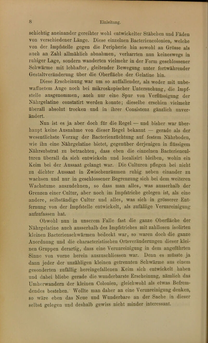 schichtig aneinander gereihter wohl entwickelter Stäbchen und Fäden von verschiedener Länge. Diese einzelnen Bacteriencolonien, welche von der Impfstelle gegen die Peripherie hin sowohl an Grösse als auch an Zahl allmählich abnahmen, verharrten nun keineswegs in ruhiger Lage, sondern wanderten vielmehr in der Form geschlossener Schwärme mit lebhafter, gleitender Bewegung unter fortwährender Gestaltveränderung über die Oberfläche der Gelatine hin. Diese Erscheinung war um so auffallender, als weder mit unbe- waffnetem Auge noch bei mikroskopischer Untersuchung, die Impf- stelle ausgenommen, auch nur eine Spur von Verflüssigung der Nährgelatine constatirt werden konnte; dieselbe erschien vielmehr überall absolut trocken und in ihrer Consistenz gänzlich unver- ändert. Nun ist es ja aber doch für die Regel — und bisher war über- haupt keine Ausnahme von dieser Regel bekannt — gerade als der wesentlichste Vorzug der Bacterienzüchtung auf festem Nährboden, wie ihn eine Nährgelatine bietet, gegenüber derjenigen in flüssigem Nährsubstrat zu betrachten, dass eben die einzelnen Bacteriencul- tnren überall da sich entwickeln und localisirt bleiben, wohin ein Keim bei der Aussaat gelangt war. Die Culturen pflegen bei nicht zu dichter Aussaat in Zwischenräumen ruhig neben einander zu wachsen und nur in geschlossener Begrenzung sich bei dem weiteren Wachstume auszudehnen, so dass man alles, was ausserhalb der Grenzen einer Cultur, aber noch im Impfstriche gelegen ist, als eine andere, selbständige Cultur und alles, was sich in grösserer Ent- fernung von der Impfstelle entwickelt, als zufällige Verunreinigung aufzufassen hat. Obwohl nun in unserem Falle fast die ganze Oberfläche der Nährgelatine auch ausserhalb des Impfstriches mit zahllosen isolirten kleinen Bacterienschwärmen bedeckt war, so waren doch die ganze Anordnung und die characteristischen Ortsveränderungen dieser klei- nen Gruppen derartig, dass eine Verunreinigung in dem angeführten Sinne von vorne herein auszuschliessen war. Denn es müsste ja dann jeder der unzähligen kleinen getrennten Schwärme aus einem gesonderten zufällig hereingefallenen Keim sich entwickelt haben und dabei bliebe gerade die wunderbarste Erscheinung, nämlich das Umherwandern der kleinen Colonien, gleichwohl als etwas Befrem- dendes bestehen. Wollte man daher an eine Verunreinigung denken, so wäre eben das Neue und Wunderbare an der Sache in dieser selbst gelegen und deshalb gewiss nicht minder interessant.