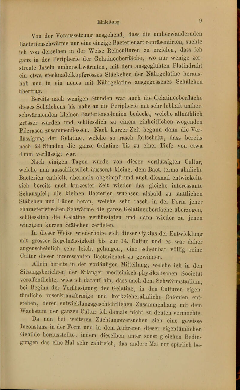 Von der Voraussetzung ausgehend, dass die unterwandernden Bacterienschwärme nur eine einzige Bacterienart repräsentirten, suchte ich von derselben in der Weise Reinculturen zu erzielen, dass ich ganz in der Peripherie der Gelatineoberfläche, wo nur wenige zer- streute Inseln umherschwärmten, mit dem ausgeglühten Platindraht ein etwa stecknadelkopfgrosses Stückchen der Nährgelatine heraus- hob und in ein neues mit Nährgelatine ausgegossenes Schälchen übertrug. Bereits nach wenigen Stunden war auch die Gelatineoberfläche dieses Schälchens bis nahe an die Peripherie mit sehr lebhaft umher- schwärmenden kleinen Bacteriencolonien bedeckt, welche allmählich grösser wurden und schliesslich zu einem einheitlichen wogenden Pilzrasen zusammenflössen. Nach kurzer Zeit begann dann die Ver- flüssigung der Gelatine, welche so rasch fortschritt, dass bereits nach 24 Stunden die ganze Gelatine bis zu einer Tiefe von etwa 4 mm verflüssigt war. Nach einigen Tagen wurde von dieser verflüssigten Cultur, welche nun ausschliesslich äusserst kleine, dem Bact. termo ähnliche Bacterien enthielt, abermals abgeimpft und auch diesmal entwickelte sich bereits nach kürzester Zeit wieder das gleiche interessante Schauspiel; die kleinen Bacterien wuchsen alsbald zu stattlichen Stäbchen und Fäden heran, welche sehr rasch in der Form jener characteristischen Schwärme die ganze Gelatineoberfläche überzogen, schliesslich die Gelatine verflüssigten und dann wieder zu jenen winzigen kurzen Stäbchen zerfielen. In dieser Weise wiederholte sich dieser Cyklus der Entwicklung mit grosser Regelmässigkeit bis zur 14. Cultur und es war daher augenscheinlich sehr leicht gelungen, eine scheinbar völlig reine Cultur dieser interessanten Bacterienart zu gewinnen. Allein bereits in der vorläufigen Mitteilung, welche ich in den Sitzungsberichten der Erlanger medicinisch-physikaliscken Societät veröffentlichte, wies ich darauf hin, dass nach dem Schwärmstadium, bei Beginn der Verflüssigung der Gelatine, in den Culturen eigen- tümliche rosenkranzförmige und korkzieherähnliche Colonien ent- stehen, deren entwicklungsgeschichtlichen Zusammenhang mit dem Wachstum der ganzen Cultur ich damals nicht zu deuten vermochte. Da nun bei weiteren Züchtungsversuchen sich eine gewisse Inconstanz in der Form und in dem Auftreten dieser eigentümlichen Gebilde herausstellte, indem dieselben unter sonst gleichen Bedin- gungen das eine Mal sehr zahlreich, das andere Mal nur spärlich be-