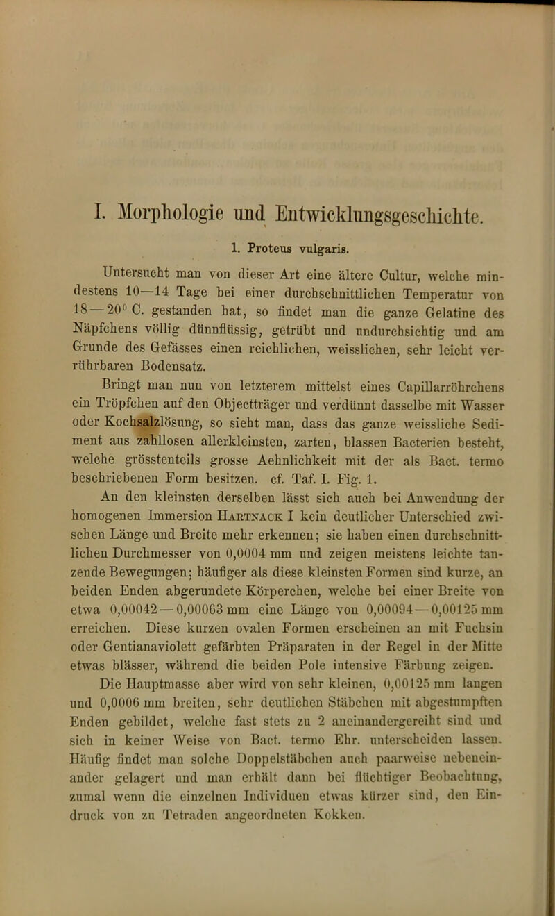 1. Proteus vulgaris. Untersucht man von dieser Art eine ältere Cultur, welche min- destens 10—14 Tage bei einer durchschnittlichen Temperatur von 18 — 20° C. gestanden hat, so findet man die ganze Gelatine des Näpfchens völlig dünnflüssig, getrübt und undurchsichtig und am Grunde des Gefässes einen reichlichen, weisslichen, sehr leicht ver- rührbaren Bodensatz. Bringt man nun von letzterem mittelst eines Capillarröhrchens ein Tröpfchen auf den Objectträger und verdünnt dasselbe mit Wasser oder Kochsalzlösung, so sieht man, dass das ganze weissliche Sedi- ment aus zahllosen allerkleinsten, zarten, blassen Bacterien besteht, welche grösstenteils grosse Aehnlichkeit mit der als Bact. termo beschriebenen Form besitzen, cf. Taf. I. Fig. 1. An den kleinsten derselben lässt sich auch bei Anwendung der homogenen Immersion Hartnack I kein deutlicher Unterschied zwi- schen Länge und Breite mehr erkennen; sie haben einen durchschnitt- lichen Durchmesser von 0,0004 mm und zeigen meistens leichte tan- zende Bewegungen; häufiger als diese kleinsten Formen sind kurze, an beiden Enden abgerundete Körperchen, welche bei einer Breite von etwa 0,00042 —0,00063 mm eine Länge von 0,00094 —0,00125 mm erreichen. Diese kurzen ovalen Formen erscheinen an mit Fuchsin oder Gentianaviolett gefärbten Präparaten in der Regel in der Mitte etwas blässer, während die beiden Pole intensive Färbung zeigen. Die Hauptmasse aber wird von sehr kleinen, 0,00125 mm langen und 0,0006 mm breiten, sehr deutlichen Stäbchen mit abgestumpften Enden gebildet, welche fast stets zu 2 aneinandergereiht sind und sich in keiner Weise von Bact. termo Ehr. unterscheiden lassen. Häufig findet man solche Doppelstäbchen auch paarweise nebenein- ander gelagert und man erhält dann bei flüchtiger Beobachtung, zumal wenn die einzelnen Individuen etwas kürzer sind, den Ein- druck von zu Tetraden angeordneten Kokken.