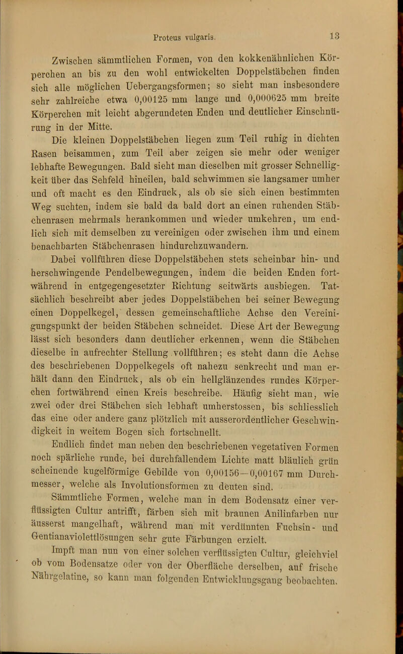 Zwischen sämmtliclien Formen, von den kokkenäknlichen Kör- perchen an bis zu den wohl entwickelten Doppelstäbchen finden sich alle möglichen Uebergangsformen; so sieht man insbesondere sehr zahlreiche etwa 0,00125 mm lange und 0,000625 mm breite Körperchen mit leicht abgerundeten Enden und deutlicher Einschnü- rung in der Mitte. Die kleinen Doppelstäbchen liegen zum Teil ruhig in dichten Rasen beisammen, zum Teil aber zeigen sie mehr oder weniger lebhafte Bewegungen. Bald sieht man dieselben mit grosser Schnellig- keit über das Sehfeld hineilen, bald schwimmen sie langsamer umher und oft macht es den Eindruck, als ob sie sich einen bestimmten Weg suchten, indem sie bald da bald dort an einen ruhenden Stäb- chenrasen mehrmals herankommen und wieder umkehren, um end- lich sich mit demselben zu vereinigen oder zwischen ihm und einem benachbarten Stäbchenrasen hindurchzuwandern. Dabei vollführen diese Doppelstäbchen stets scheinbar hin- und herschwingende Pendelbewegungen, indem die beiden Enden fort- während in entgegengesetzter Richtung seitwärts ausbiegen. Tat- sächlich beschreibt aber jedes Doppelstäbchen bei seiner Bewegung einen Doppelkegel, dessen gemeinschaftliche Achse den Vereini- gungspunkt der beiden Stäbchen schneidet. Diese Art der Bewegung lässt sich besonders dann deutlicher erkennen, wenn die Stäbchen dieselbe in aufrechter Stellung vollführen; es steht dann die Achse des beschriebenen Doppelkegels oft nahezu senkrecht und man er- hält dann den Eindruck, als ob ein hellglänzendes rundes Körper- chen fortwährend einen Kreis beschreibe. Häufig sieht man, wie zwei oder drei Stäbchen sich lebhaft umherstossen, bis schliesslich das eine oder andere ganz plötzlich mit ausserordentlicher Geschwin- digkeit in weitem Bogen sich fortschnellt. Endlich findet man neben den beschriebenen vegetativen Formen noch spärliche runde, bei durchfallendem Lichte matt bläulich grün scheinende kugelförmige Gebilde von 0,00156-0,00167 mm Durch- messer, welche als Involutionsformen zu deuten sind. Sämmtliche Formen, welche man in dem Bodensatz einer ver- flüssigten Cultur antrifft, färben sich mit braunen Anilinfarben nur äusserst mangelhaft, während man mit verdünnten Fuchsin- und Gentianaviolettlösungen sehr gute Färbungen erzielt. Impft man nun von einer solchen verflüssigten Cultur, gleichviel ob vom Bodensatze oder von der Oberfläche derselben, auf frische Nährgelatine, so kann man folgenden Entwicklungsgang beobachten.