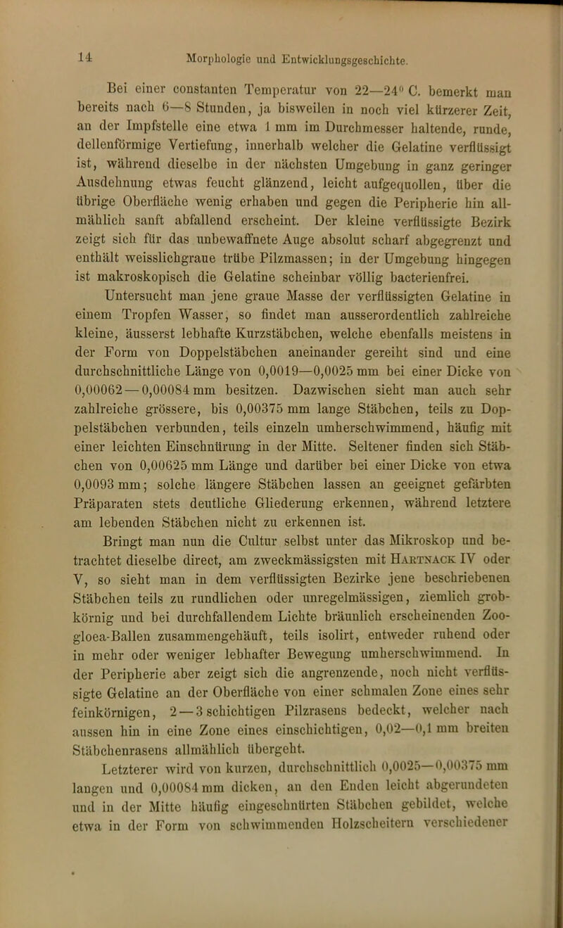 Bei einer constanten Temperatur von 22—24° C. bemerkt man bereits nach 6—8 Stunden, ja bisweilen in noch viel kürzerer Zeit, an der Impfstelle eine etwa 1 mm im Durchmesser haltende, runde, dellenförmige Vertiefung, innerhalb welcher die Gelatine verflüssigt ist, während dieselbe in der nächsten Umgebung in ganz geringer Ausdehnung etwas feucht glänzend, leicht aufgequollen, Uber die übrige Oberfläche wenig erhaben und gegen die Peripherie hin all- mählich sanft abfallend erscheint. Der kleine verflüssigte Bezirk zeigt sich für das unbewaffnete Auge absolut scharf abgegrenzt und enthält weisslichgraue trübe Pilzmassen; in der Umgebung hingegen ist makroskopisch die Gelatine scheinbar völlig bacterienfrei. Untersucht man jene graue Masse der verflüssigten Gelatine in einem Tropfen Wasser, so findet man ausserordentlich zahlreiche kleine, äusserst lebhafte Kurzstäbchen, welche ebenfalls meistens in der Form von Doppelstäbchen aneinander gereiht sind und eine durchschnittliche Länge von 0,0019—0,0025 mm bei einer Dicke von 0,00062 — 0,00084 mm besitzen. Dazwischen sieht man auch sehr zahlreiche grössere, bis 0,00375 mm lange Stäbchen, teils zu Dop- pelstäbchen verbunden, teils einzeln umherschwimmend, häufig mit einer leichten Einschnürung in der Mitte. Seltener finden sich Stäb- chen von 0,00625 mm Länge und darüber bei einer Dicke von etwa 0,0093 mm; solche längere Stäbchen lassen an geeignet gefärbten Präparaten stets deutliche Gliederung erkennen, während letztere am lebenden Stäbchen nicht zu erkennen ist. Bringt man nun die Cultur selbst unter das Mikroskop und be- trachtet dieselbe direct, am zweckmässigsten mit Haetnack IV oder V, so sieht man in dem verflüssigten Bezirke jene beschriebenen Stäbchen teils zu rundlichen oder unregelmässigen, ziemlich grob- körnig und bei durchfallendem Lichte bräunlich erscheinenden Zoo- gloea-Ballen zusammengehäuft, teils isolirt, entweder ruhend oder in mehr oder weniger lebhafter Bewegung umherschwimmend. In der Peripherie aber zeigt sich die angrenzende, noch nicht verflüs- sigte Gelatine an der Oberfläche von einer schmalen Zone eines sehr feinkörnigen, 2 — 3 schichtigen Pilzrasens bedeckt, welcher nach aussen hin in eine Zone eines einschichtigen, 0,02—0,1 mm breiten Stäbchenrasens allmählich übergeht. Letzterer wird von kurzen, durchschnittlich 0,0025—0,00375 mm langen und 0,00084mm dicken, an den Enden leicht abgerundeten und in der Mitte häufig eingeschnürten Stäbchen gebildet, welche etwa in der Form von schwimmenden Holzscheitern verschiedener