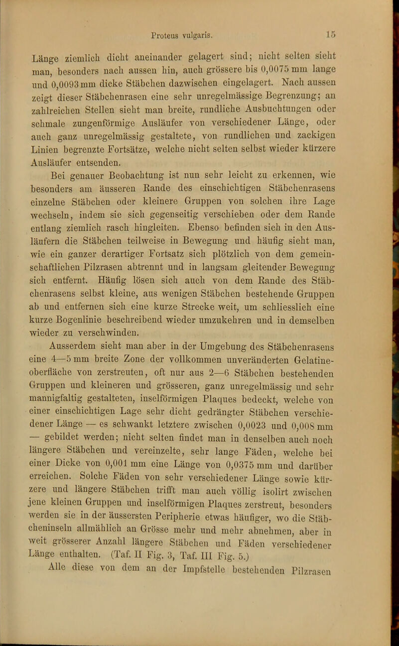 Länge ziemlich dicht aneinander gelagert sind; nicht selten sieht man, besonders nach aussen hin, auch grössere bis 0,0075 mm lange und 0,0093 mm dicke Stäbchen dazwischen eingelagert. Nach aussen zeigt dieser Stäbchenrasen eine sehr unregelmässige Begrenzung; an zahlreichen Stellen sieht man breite, rundliche Ausbuchtungen oder schmale zungenförniige Ausläufer von verschiedener Länge, oder auch ganz unregelmässig gestaltete, von rundlichen und zackigen Linien begrenzte Fortsätze, welche nicht selten selbst wieder kürzere Ausläufer entsenden. Bei genauer Beobachtung ist nun sehr leicht zu erkennen, wie besonders am äusseren Bande des einschichtigen Stäbchenrasens einzelne Stäbchen oder kleinere Gruppen von solchen ihre Lage wechseln, indem sie sich gegenseitig verschieben oder dem Bande entlang ziemlich rasch hingleiten. Ebenso befinden sich in den Aus- läufern die Stäbchen teilweise in Bewegung und häufig sieht man, wie ein ganzer derartiger Fortsatz sich plötzlich von dem gemein- schaftlichen Pilzrasen abtrennt und in langsam gleitender Bewegung sich entfernt. Häufig lösen sich auch von dem Bande des Stäb- chenrasens selbst kleine, aus wenigen Stäbchen bestehende Gruppen ab und entfernen sich eine kurze Strecke weit, um schliesslich eine kurze Bogenlinie beschreibend wieder umzukehren und in demselben wieder zu verschwinden. Ausserdem sieht man aber in der Umgebung des Stäbchenrasens eine 4—5 mm breite Zone der vollkommen unveränderten Gelatine- oberfläche von zerstreuten, oft nur aus 2—6 Stäbchen bestehenden Gruppen und kleineren und grösseren, ganz unregelmässig und sehr mannigfaltig gestalteten, inselförmigen Plaques bedeckt, welche von einer einschichtigen Lage sehr dicht gedrängter Stäbchen verschie- dener Länge — es schwankt letztere zwischen 0,0023 und 0,008 mm —- gebildet werden; nicht selten findet man in denselben auch noch längere Stäbchen und vereinzelte, sehr lange Fäden, welche bei einer Dicke von 0,001 mm eine Länge von 0,0375 mm und darüber erreichen. Solche Fäden von sehr verschiedener Länge sowie kür- zere und längere Stäbchen trifft man auch völlig isolirt zwischen jene kleinen Gruppen und inselförmigen Plaques zerstreut, besonders werden sie in der äussersten Peripherie etwas häufiger, wo die Stäb- cheninseln allmählich an Grösse mehr und mehr abnehmen, aber in weit grösserer Anzahl längere Stäbchen und Fäden verschiedener Länge enthalten. (Taf. II Fig. 3, Taf. III Fig. 5.) Alle diese von dem an der Impfstelle bestehenden Pilzrasen