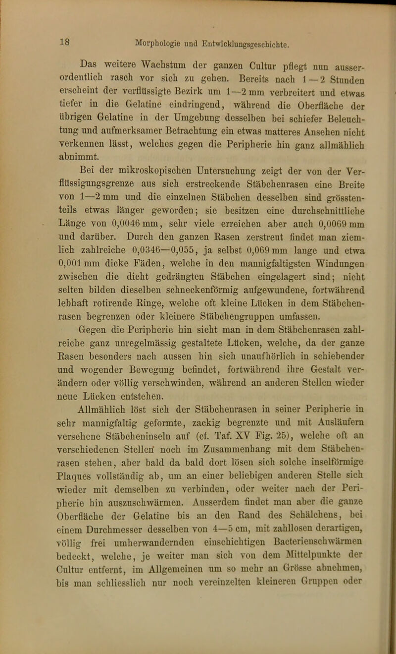 Das weitere Wachstum der ganzen Cultur pflegt nun ausser- ordentlich rasch vor sich zu gehen. Bereits nach 1—2 Stunden erscheint der verflüssigte Bezirk um 1—2 mm verbreitert und etwas tiefer in die Gelatine eindringend, während die Oberfläche der übrigen Gelatine in der Umgebung desselben bei schiefer Beleuch- tung und aufmerksamer Betrachtung ein etwas matteres Ansehen nicht verkennen lässt, welches gegen die Peripherie hin ganz allmählich abnimmt. Bei der mikroskopischen Untersuchung zeigt der von der Ver- fiüssigungsgrenze aus sich erstreckende Stäbchenrasen eine Breite von 1—2 mm und die einzelnen Stäbchen desselben sind grössten- teils etwas länger geworden; sie besitzen eine durchschnittliche Länge von 0,0046 mm, sehr viele erreichen aber auch 0,0069 mm und darüber. Durch den ganzen Rasen zerstreut findet man ziem- lich zahlreiche 0,0346—0,055, ja selbst 0,069 mm lange und etwa 0,001mm dicke Fäden, welche in den mannigfaltigsten Windungen zwischen die dicht gedrängten Stäbchen eingelagert sind; nicht selten bilden dieselben schneckenförmig aufgewundene, fortwährend lebhaft rotirende Ringe, welche oft kleine Lücken in dem Stäbchen- rasen begrenzen oder kleinere Stäbchengruppen umfassen. Gegen die Peripherie hin sieht man in dem Stäbchenrasen zahl- reiche ganz unregelmässig gestaltete Lücken, welche, da der ganze Rasen besonders nach aussen hin sich unaufhörlich in schiebender und wogender Bewegung befindet, fortwährend ihre Gestalt ver- ändern oder völlig verschwinden, während an anderen Stellen wieder neue Lücken entstehen. Allmählich löst sich der Stäbchenrasen in seiner Peripherie in sehr mannigfaltig geformte, zackig begrenzte und mit Ausläufern versehene Stäbcheninseln auf (cf. Taf. XV Fig. 25), welche oft an verschiedenen Stellen' noch im Zusammenhang mit dem Stäbchen- rasen stehen, aber bald da bald dort lösen sich solche inselfönnige Plaques vollständig ab, um an einer beliebigen anderen Stelle sich wieder mit demselben zu verbinden, oder weiter nach der Peri- pherie hin auszuschwärmen. Ausserdem findet man aber die ganze Oberfläche der Gelatine bis an den Rand des Schälchens, bei einem Durchmesser desselben von 4—5 cm, mit zahllosen derartigen, völlig frei umherwandernden einschichtigen Bacterienschwärmen bedeckt, welche, je weiter man sich von dem Mittelpunkte der Cultur entfernt, im Allgemeinen um so mehr an Grösse abnehmen, bis man schliesslich nur noch vereinzelten kleineren Gruppen oder