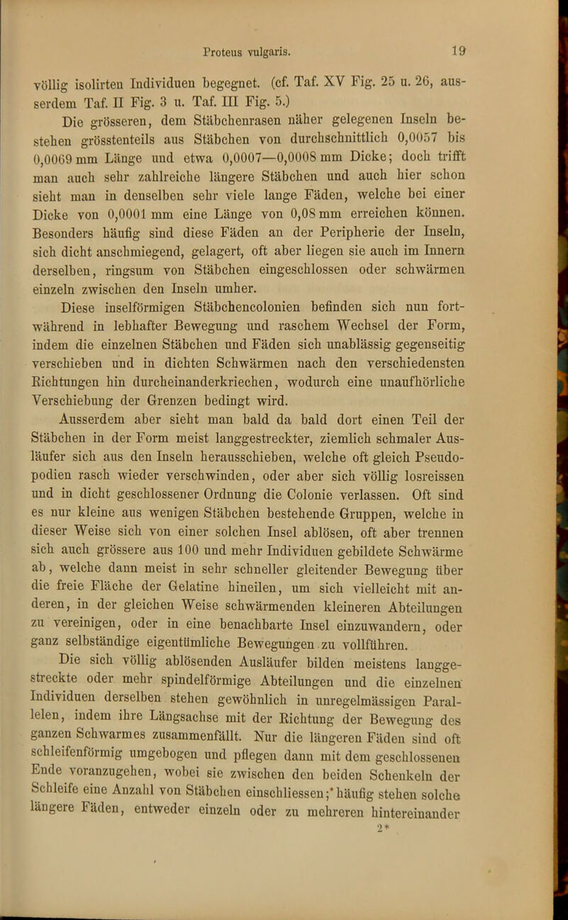 völlig isolirten Individuen begegnet, (cf. Taf. XV Fig. 25 u. 26, aus- serdem Taf. II Fig. 3 u. Taf. III Fig. 5.) Die grösseren, dem Stäbchenrasen näher gelegenen Inseln be- stehen grösstenteils aus Stäbchen von durchschnittlich 0,0057 bis 0,0069 mm Länge und etwa 0,0007—0,0008 mm Dicke; doch trifft man auch sehr zahlreiche längere Stäbchen und auch hier schon sieht man in denselben sehr viele lange Fäden, welche bei einer Dicke von 0,0001 mm eine Länge von 0,08 mm erreichen können. Besonders häufig sind diese Fäden an der Peripherie der Inseln, sich dicht anschmiegend, gelagert, oft aber liegen sie auch im Innern derselben, ringsum von Stäbchen eingeschlossen oder schwärmen einzeln zwischen den Inseln umher. Diese inselförmigen Stäbchencolonien befinden sich nun fort- während in lebhafter Bewegung und raschem Wechsel der Form, indem die einzelnen Stäbchen und Fäden sich unablässig gegenseitig verschieben und in dichten Schwärmen nach den verschiedensten Pachtungen hin durcheinanderkriechen, wodurch eine unaufhörliche Verschiebung der Grenzen bedingt wird. Ausserdem aber sieht man bald da bald dort einen Teil der Stäbchen in der Form meist langgestreckter, ziemlich schmaler Aus- läufer sich aus den Inseln herausschieben, welche oft gleich Pseudo- podien rasch wieder verschwinden, oder aber sich völlig losreissen und in dicht geschlossener Ordnung die Colonie verlassen. Oft sind es nur kleine aus wenigen Stäbchen bestehende Gruppen, welche in dieser Weise sich von einer solchen Insel ablösen, oft aber trennen sich auch grössere aus 100 und mehr Individuen gebildete Schwärme ab, welche dann meist in sehr schneller gleitender Bewegung über die freie Fläche der Gelatine hineilen, um sich vielleicht mit an- deren, in der gleichen Weise schwärmenden kleineren Abteilungen zu vereinigen, oder in eine benachbarte Insel einzuwandern, oder ganz selbständige eigentümliche Bewegungen zu vollführen. Die sich völlig ablösenden Ausläufer bilden meistens langge- streckte oder mehr spindelförmige Abteilungen und die einzelnen Individuen derselben stehen gewöhnlich in unregelmässigen Paral- lelen, indem ihre Längsachse mit der Eichtung der Bewegung des ganzen Schwarmes zusammenfällt. Nur die längeren Fäden sind oft schleifenförmig umgebogen und pflegen dann mit dem geschlossenen Ende voranzugehen, wobei sie zwischen den beiden Schenkeln der Schleife eine Anzahl von Stäbchen einschliessen;'häufig stehen solche längere Fäden, entweder einzeln oder zu mehreren hintereinander 2*