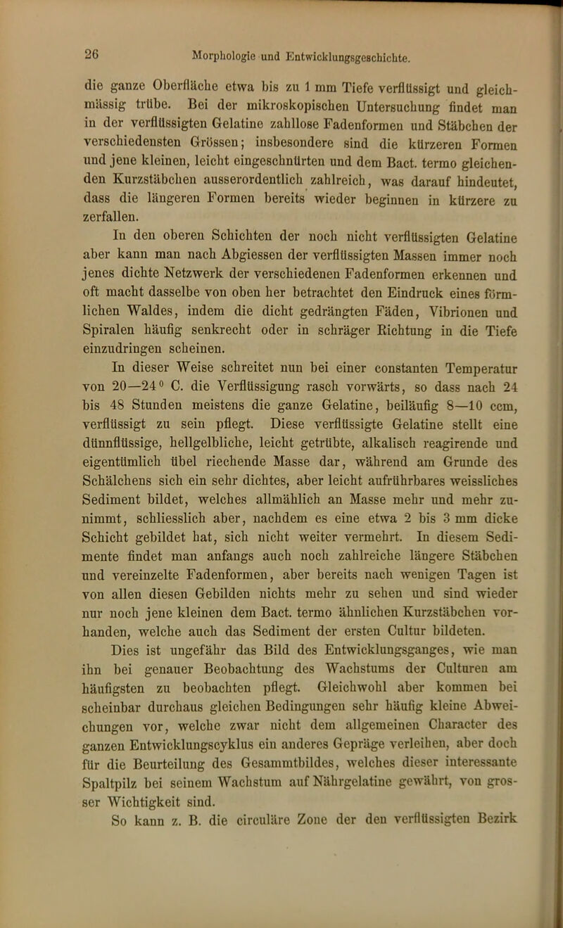 die ganze Oberfläche etwa bis zu 1 mm Tiefe verflüssigt und gleich- massig trübe. Bei der mikroskopischen Untersuchung findet man in der verflüssigten Gelatine zahllose Fadenformen und Stäbchen der verschiedensten Grössen; insbesondere sind die kürzeren Formen und jene kleinen, leicht eingeschnürten und dem Bact. termo gleichen- den Kurzstäbchen ausserordentlich zahlreich, was darauf hindeutet, dass die längeren Formen bereits wieder beginnen in kürzere zu zerfallen. In den oberen Schichten der noch nicht verflüssigten Gelatine aber kann man nach Abgiessen der verflüssigten Massen immer noch jenes dichte Netzwerk der verschiedenen Fadenformen erkennen und oft macht dasselbe von oben her betrachtet den Eindruck eines förm- lichen Waldes, indem die dicht gedrängten Fäden, Vibrionen und Spiralen häufig senkrecht oder in schräger Richtung in die Tiefe einzudringen scheinen. In dieser Weise schreitet nun bei einer constanten Temperatur von 20—24° C. die Verflüssigung rasch vorwärts, so dass nach 24 bis 48 Stunden meistens die ganze Gelatine, beiläufig 8—10 ccm, verflüssigt zu sein pflegt. Diese verflüssigte Gelatine stellt eine dünnflüssige, hellgelbliche, leicht getrübte, alkalisch reagirende und eigentümlich übel riechende Masse dar, während am Grunde des Schälchens sich ein sehr dichtes, aber leicht aufrührbares weissliches Sediment bildet, welches allmählich an Masse mehr und mehr zu- nimmt, schliesslich aber, nachdem es eine etwa 2 bis 3 mm dicke Schicht gebildet hat, sich nicht weiter vermehrt. In diesem Sedi- mente findet man anfangs auch noch zahlreiche läügere Stäbchen und vereinzelte Fadenformen, aber bereits nach wenigen Tagen ist von allen diesen Gebilden nichts mehr zu sehen und sind wieder nur noch jene kleinen dem Bact. termo ähnlichen Kurzstäbchen vor- handen, welche auch das Sediment der ersten Cultur bildeten. Dies ist ungefähr das Bild des Entwicklungsganges, wie man ihn bei genauer Beobachtung des Wachstums der Cultaren am häufigsten zu beobachten pflegt. Gleichwohl aber kommen bei scheinbar durchaus gleichen Bedingungen sehr häufig kleine Abwei- chungen vor, welche zwar nicht dem allgemeinen Character des ganzen Entwicklungscyklus ein anderes Gepräge verleihen, aber doch für die Beurteilung des Gesammtbildes, welches dieser interessante Spaltpilz bei seinem Wachstum auf Nährgelatine gewährt, von gros- ser Wichtigkeit sind. So kann z. B. die circuläre Zone der den verflüssigten Bezirk