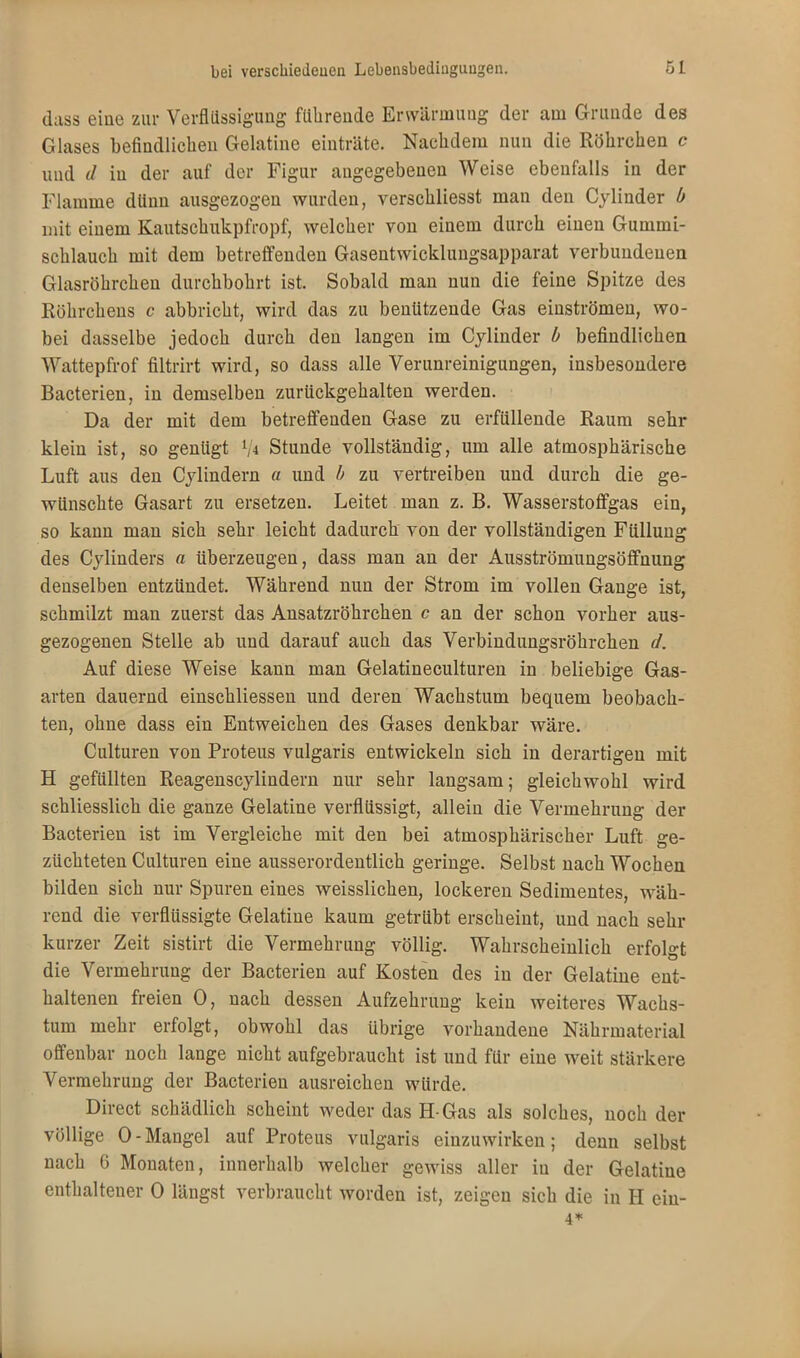 dass eine zur Verflüssigung führende Erwärmung der am Grunde des Glases befindlichen Gelatine einträte. Nachdem nun die Röhrchen c und d in der auf der Figur angegebenen Weise ebenfalls in der Flamme dünn ausgezogen wurden, verschliesst man den Cylinder b mit einem Kautschukpfropf, welcher von einem durch einen Gummi- schlauch mit dem betreffenden Gasentwicklungsapparat verbundenen Glasröhrchen durchbohrt ist. Sobald man nun die feine Spitze des Röhrchens c abbricht, wird das zu benützende Gas einströmen, wo- bei dasselbe jedoch durch den langen im Cylinder b befindlichen Wattepfrof filtrirt wird, so dass alle Verunreinigungen, insbesondere Bacterien, in demselben zurückgehalten werden. Da der mit dem betreffenden Gase zu erfüllende Raum sehr klein ist, so genügt V< Stunde vollständig, um alle atmosphärische Luft aus den Cylindern « und b zu vertreiben und durch die ge- wünschte Gasart zu ersetzen. Leitet man z. B. Wasserstoffgas ein, so kann man sich sehr leicht dadurch von der vollständigen Füllung des Cylinders a überzeugen, dass man an der Ausströmungsöffnung denselben entzündet. Während nun der Strom im vollen Gange ist, schmilzt man zuerst das Ansatzröhrchen c an der schon vorher aus- gezogenen Stelle ab und darauf auch das Verbindungsröhrchen d. Auf diese Weise kann man Gelatineculturen in beliebige Gas- arten dauernd einschliessen und deren Wachstum bequem beobach- ten, ohne dass ein Entweichen des Gases denkbar wäre. Culturen von Proteus vulgaris entwickeln sich in derartigen mit H gefüllten Reagenscylindern nur sehr langsam; gleichwohl wird schliesslich die ganze Gelatine verflüssigt, allein die Vermehrung der Bacterien ist im Vergleiche mit den bei atmosphärischer Luft ge- züchteten Culturen eine ausserordentlich geringe. Selbst nach Wochen bilden sich nur Spuren eines weisslichen, lockeren Sedimentes, wäh- rend die verflüssigte Gelatine kaum getrübt erscheint, und nach sehr kurzer Zeit sistirt die Vermehrung völlig. Wahrscheinlich erfolgt die Vermehrung der Bacterien auf Kosten des in der Gelatine ent- haltenen freien 0, nach dessen Aufzehrung kein weiteres Wachs- tum mehr erfolgt, obwohl das übrige vorhandene Nährmaterial offenbar noch lange nicht aufgebraucht ist und für eine weit stärkere Vermehrung der Bacterien ausreichen würde. Direct schädlich scheint weder das H-Gas als solches, noch der völlige 0-Mangel auf Proteus vulgaris einzuwirken; denn selbst nach 6 Monaten, innerhalb welcher gewiss aller in der Gelatine enthaltener 0 längst verbraucht worden ist, zeigen sich die in H ein- 4*