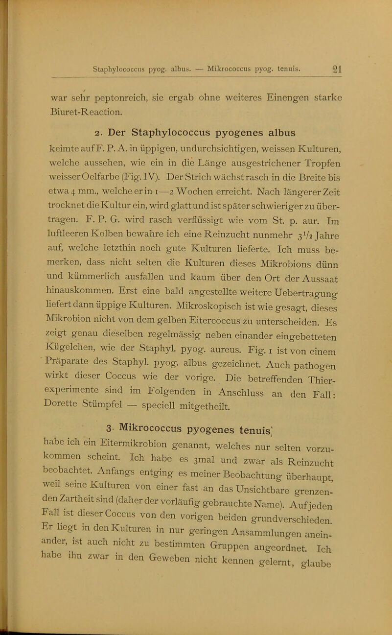 war sehr peptonreich, sie ergab ohne weiteres Einengen starke Biuret-Rcciction. 2. Der Staphylococcus pyogenes albus keimte auf F. P. A. in üppigen, undurchsichtigen, weissen Kulturen, welche aussehen, wie ein in die Länge ausgestrichener Tropfen weisser Oelfarbe (Fig. IV). Der Strich wächst rasch in die Breite bis etwa 4 mm., welche er in i—2 Wochen erreicht. Nach längerer Zeit trocknet die Kultur ein, wird glatt und ist später schwieriger zu über- tragen. F. P. G. wird rasch verflüssigt wie vom St. p. aur. Im luftleeren Kolben bewahre ich eine Reinzucht nunmehr 3 V2 Jahre auf, welche letzthin noch gute Kulturen heferte. Ich muss be- merken, dass nicht selten die Kulturen dieses Mikrobions dünn und kümmerlich ausfallen und kaum über den Ort der Aussaat hinauskommen. Erst eine bald angestellte weitere Uebertragung liefert dann üppige Kulturen. Mikroskopisch ist wie gesagt, dieses Mikrobion nicht von dem gelben Eitercoccus zu unterscheiden. Es zeigt genau dieselben regelmässig neben einander eingebetteten Kügelchen, wie der Staphyl. pyog. aureus. Fig. i ist von einem ■ Präparate des Staphyl. pyog. albus gezeichnet. Auch pathogen wirkt dieser Coccus wie der vorige. Die betreffenden Thier- experimente sind im Folgenden in Anschluss an den FaU: Dorette Stümpfel — speciell mitgetheilt. 3- Mikrococcus pyogenes tenuis] habe ich ein Eitermikrobion genannt, welches nur selten vorzu- kommen scheint. Ich habe es 3mal und zwar als Reinzucht beobachtet. Anfangs entging es meiner Beobachtung überhaupt weil seme Kulturen von einer fast an das Unsichtbare grenzen- den Zartheit sind (daher der vorläufig gebrauchte Name). Auf jeden Fall ist dieser Coccus von den vorigen beiden grundverschieden Er hegt in den Kulturen in nur geringen Ansammlungen anein- ander, ist auch nicht zu bestimmten Gruppen angeordnet Ich habe Ihn zwar in den Geweben nicht kennen gelernt, glaube