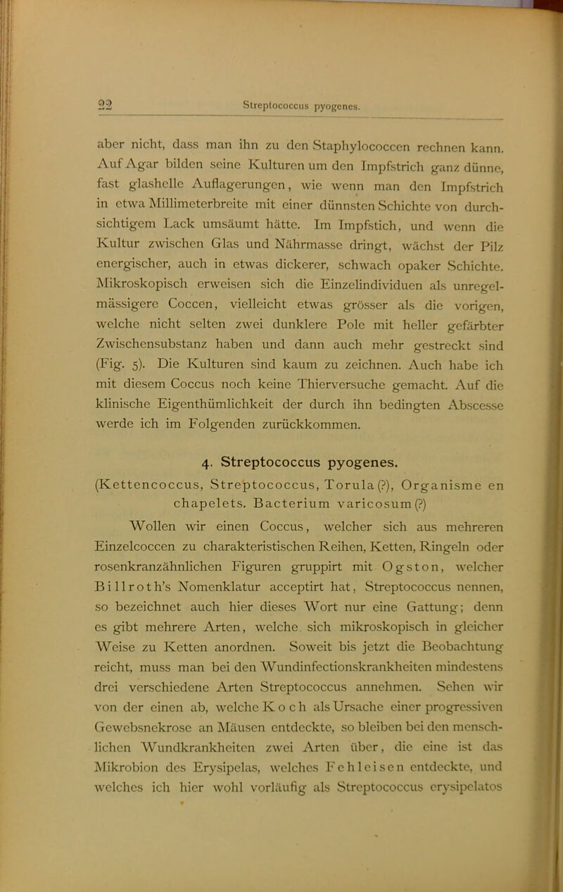 aber nicht, dass man ihn zu den Staphylococcen rechnen kann. Auf Agar bilden seine Kulturen um den Impfstrich ganz dünne, fast glashelle Auflagerungen, wie wenn man den Impfstrich in etwa Millimeterbreite mit einer dünnsten Schichte von durch- sichtigem Lack umsäumt hätte. Im Impfstich, und wenn die Kultur zwischen Glas und Nährmasse dringt, wächst der Pilz energischer, auch in etwas dickerer, schwach opaker Schichte. Mikroskopisch erweisen sich die Einzclindividuen als unregel- mässigere Coccen, vielleicht etwas grösser als die vorigen, welche nicht selten zwei dunklere Pole mit heller gefärbter Zwischensiibstanz haben und dann auch mehr gestreckt sind (Fig. 5). Die Kulturen sind kaum zu zeichnen. Auch habe ich mit diesem Coccus noch keine Thierversuche gemacht. Auf die klinische Eigenthümlichkeit der durch ihn bedingten Abscesse werde ich im Folgenden zurückkommen. 4. Streptococcus pyogenes. (Kettencoccus, Streptococcus, Torula (?), Organisme en chapelets. Bacterium varicosum(?) Wollen wir einen Coccus, welcher sich aus mehreren Einzelcoccen zu charakteristischen Reihen, Ketten, Ringeln oder rosenkranzähnlichen Figuren gruppirt mit Ogston, welcher Billroth's Nomenklatur acceptirt hat, Streptococcus nennen, so bezeichnet auch hier dieses Wort nur eine Gattung; denn es gibt mehrere Arten, welche, sich mikroskopisch in gleicher Weise zu Ketten anordnen. Soweit bis jetzt die Beobachtung reicht, muss man bei den Wundinfectionskrankheiten mindestens drei verschiedene Arten Streptococcus annehmen. Sehen wir von der einen ab, welche Koch als Ursache einer progressiven Gewebsnckrose an Mäusen entdeckte, so bleiben bei den mensch- lichen Wundkrankheiten zwei Arten über, die eine ist das Mikrobion des Erysipelas, welches Fe hl eisen entdeckte, und welches ich hier wohl vorläufig als Streptococcus crysipclatos