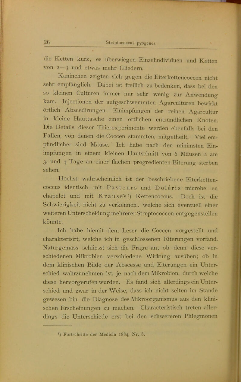 die Ketten kurz, es überwiegen Einzelindividuen und Ketten von 2—3 und etwas mehr Gliedern. Kaninchen zeigten sich gegen die Eiterkettencoccen nicht sehr empfänglich. Dabei ist freilich zu bedenken, dass bei den so kleinen Culturen immer nur sehr wenig zur Anwendung kam. Injectionen der aufgeschwemmten Agarculturen bewirkt örtlich Abscedirungen, Einimpfungen der reinen Agarcultur in kleine Hauttasche einen örthchen entzündlichen Knoten. Die Details dieser Thierexperimente werden ebenfalls bei den Fällen, von denen die Coccen stammten, mitgetheilt. Viel em- pfindlicher sind Mäuse. Ich habe nach den minimsten Ein- impfungen in einem kleinen Hautschnitt von 6 Mäusen 2 am 3. und 4. Tage an einer flachen progredienten Eiterung sterben sehen. Höchst wahrscheinHch ist der beschriebene Eiterketten- coccus identisch mit Pasteurs und Doleris microbe en chapelet und mit Krause's') Kettencoccus. Doch ist die Schwierigkeit nicht zu verkennen, welche sich eventuell einer weiteren Unterscheidung mehrerer Streptococcen entgegenstellen könnte. Ich habe hiemit dem Leser die Coccen vorgestellt und charakterisirt, welche ich in geschlossenen Eiterungen vorfand. Naturgemäss schliesst sich die Frage an, ob denn diese ver- schiedenen Mikrobien verschiedene Wirkung ausüben; ob in dem klinischen Bilde der Abscesse und Eiterungen ein Unter- schied wahrzunehmen ist, je nach dem Mikrobion, durch welche diese hervorgerufen wurden. Es fand sich allerdings ein Unter- schied und zwar in der Weise, dass ich nicht selten im Stande gewesen bin, die Diagnose des Mikroorganismus aus den klini- schen Erscheinungen zu machen. Characteristisch treten aller- dings die Unterschiede erst bei den schwereren Phlegmonen