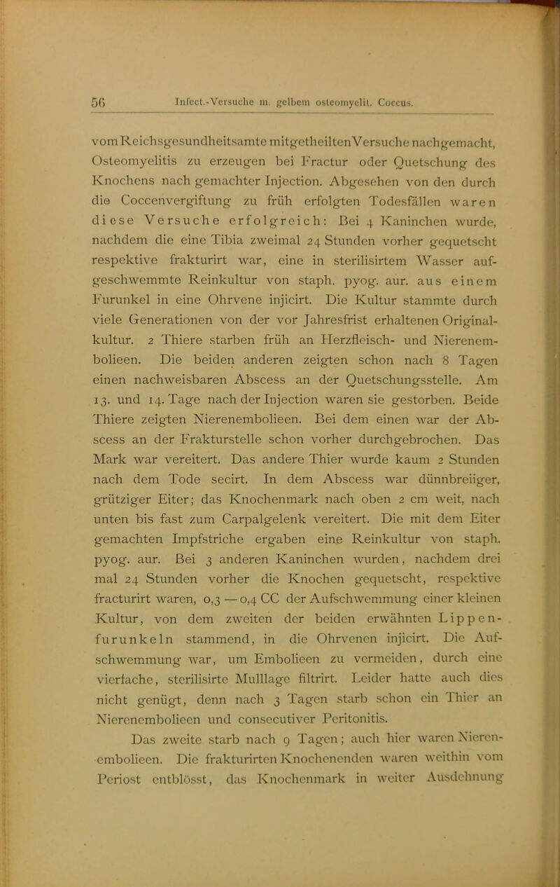 vom Reichsgesundheitsamte mitgetheiltenVersuche nachgemacht, Osteomyelitis zu erzeugen bei Fractur oder Quetschung des Knochens nach gemachter Injection. Abgesehen von den durch die Coccenvergiftung zu früh erfolgten Todesfällen waren diese Versuche erfolgreich: Bei 4 Kaninchen wurde, nachdem die eine Tibia zweimal 24 Stunden vorher gequetscht respektive frakturirt war, eine in sterilisirtem Wasser auf- geschwemmte Reinkultur von staph. pyog. aur. aus einem Furunkel in eine Ohrvene injicirt. Die Kultur stammte durch viele Generationen von der vor Jahresfrist erhaltenen Original- kultur. 2 Thiere starben früh an Herzfleisch- und Nierenem- bolieen. Die beiden anderen zeigten schon nach 8 Tagen einen nachweisbaren Abscess an der Quetschungsstelle. Am 13. und 14. Tage nach der Injection waren sie gestorben. Beide Thiere zeigten Nierenembolieen. Bei dem einen war der Ab- scess an der Frakturstelle schon vorher durchgebrochen. Das Mark war vereitert. Das andere Thier wurde kaum 2 Stunden nach dem Tode secirt. In dem Abscess war dünnbreiiger, grütziger Eiter; das Knochenmark nach oben 2 cm weit, nach unten bis fast zum Carpalgelenk vereitert. Die mit dem Eiter gemachten Impfstriche ergaben eine Reinkultur von staph. pyog. aur. Bei 3 anderen Kaninchen wurden, nachdem drei mal 24 Stunden vorher die Knochen gequetscht, respektive fracturirt waren, 0,3 — 0,4 CC der Aufschwemmung einer kleinen Kultur, von dem zweiten der beiden erwähnten Lippcn- furunkeln stammend, in die Ohrvenen injicirt. Die Auf- schwemmung war, um Embolicen zu vermeiden, durch eine vierfache, stcrilisirtc Mulllagc filtrirt. Leider hatte auch dies nicht genügt, denn nach 3 Tagen starb schon ein Thier an Nierenembolieen und consccutiver Peritonitis. Das zweite starb nach 9 Tagen; auch hier waren Nieren- embolieen. Die frakturirten Knochenenden waren weithin vom Periost cntblösst, das Knochenmark in weiter Ausdehnung