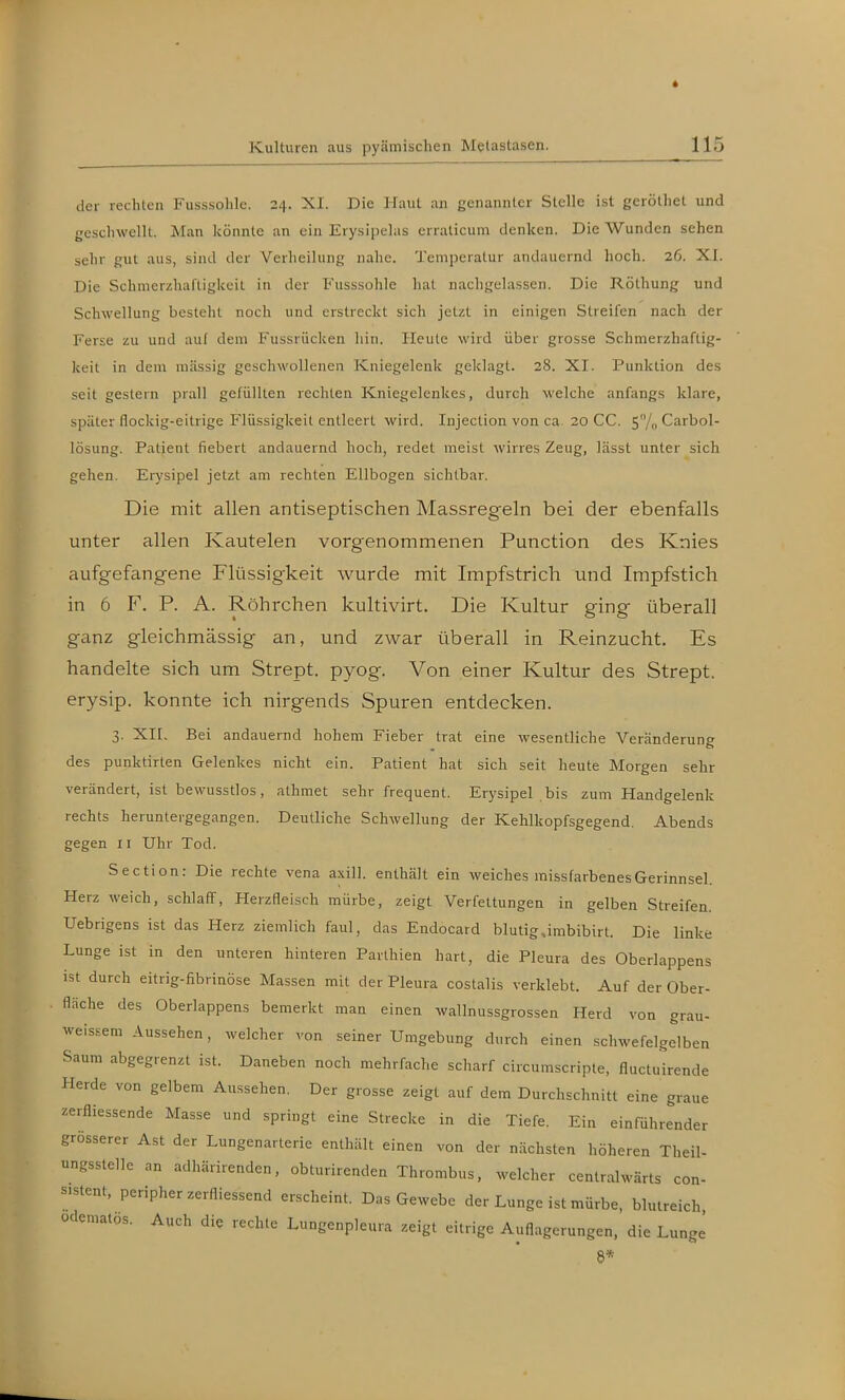 der rechten Fusssolile. 24. XI. Die Haut an genannter Stelle ist geröthet und geschwellt. Man könnte an ein Erysipelas erralicum denken. Die AVundcn sehen sehr gut aus, sind der Verheilung nahe. Temperatur andauernd hoch. 26. XI. Die Schnierzhafligkeil in der Fusssohle hat nachgelassen. Die Röthung und Schwellung besteht noch und erstreckt sich jetzt in einigen Streifen nach der Ferse zu und auf dem Fussrücken hin. Heute wird über grosse Schmerzhaftig- keit in dem massig geschwollenen Kniegelenk geklagt. 28. XI. Punktion des seit gestern prall gefüllten rechten Kniegelenkes, durch welche anfangs klare, später flockig-eitrige Flüssigkeit entleert wird. Injection von ca 20 CC. 5/o Carbol- lösung. Patient fiebert andauernd hoch, redet meist wirres Zeug, lässt unter sich gehen. Erysipel jetzt am rechten Ellbogen sichtbar. Die mit allen antiseptischen Massregeln bei der ebenfalls unter allen Kautelen vorgenommenen Function des Knies aufgefangene Flüssigkeit wurde mit Impfstrich und Impfstich in 6 F. P. A. Röhrchen kultivirt. Die Kultur ging überall ganz gleichmässig an, und zwar überall in Reinzucht. Es handelte sich um Strept. pyog. Von einer Kultur des Strept. erysip. konnte ich nirgends Spuren entdecken. 3. XII. Bei andauernd hohem Fieber trat eine wesentliche Vercänderung des punktirten Gelenkes nicht ein. Patient hat sich seit heute Morgen sehr verändert, ist bewusstlos, athmet sehr frequent. Erysipel .bis zum Handgelenk rechts heruntergegangen. Deutliche Schwellung der Kehlkopfsgegend. Abends gegen II Uhr Tod. Section: Die rechte vena axill. enthält ein weiches missfarbenesGerinnsel. Herz weich, schlaff, Herzfleisch mürbe, zeigt Verfettungen in gelben Streifen. Uebrigens ist das Herz ziemlich faul, das Endocard blutig,imbibirt. Die linke Lunge ist in den unteren hinteren Parlhien hart, die Pleura des Oberlappens ist durch eitrig-fibrinöse Massen mit der Pleura costalis verklebt. Auf der Ober- fläche des Oberlappens bemerkt man einen wallnussgrossen Herd von grau- weissem Aussehen, welcher von seiner Umgebung durch einen schwefelgelben Saum abgegrenzt ist. Daneben noch mehrfache scharf ciicumscripte, fluctuirende Herde von gelbem Aussehen. Der grosse zeigt auf dem Durchschni« eine graue zerfliessende Masse und springt eine Strecke in die Tiefe. Ein einführender grösserer Ast der Lungenarterie enthält einen von der nächsten höheren Theil- ungsstelle an adhärirenden, obturirenden Thrombus, welcher centralwärts con- «.Stent, peripher zerfliessend erscheint. Das Gewebe der Lunge ist mürbe, blutreich odematos. Auch die rechte Lungenpleura zeigt eitrige Auflagerungen, die Lunge 8*
