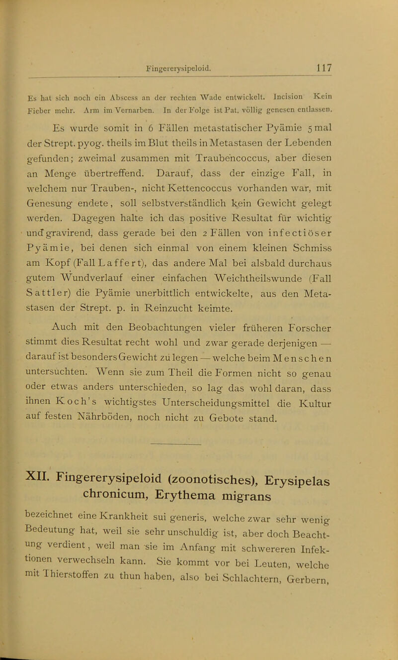 Es hat sich noch ein Abscess an der rechten Wade entwickelt. Incision Kein Fieber mehr. Arm im Vernarben. In der Folge ist Pat. völlig genesen entlassen. Es wurde somit in 6 Fällen metastatischer Pyämie 5 mal der Strept. pyog. theils im Blut theils in Metastasen der Lebenden gefunden; zweimal zusammen mit Traubehcoccus, aber diesen an Menge übertreffend. Darauf, dass der einzige Fall, in welchem nur Trauben-, nicht Kettencoccus vorhanden war, mit Genesung endete, soll selbstverständlich kein Gewicht gelegt werden. Dagegen halte ich das positive Resultat für wichtig undgravirend, dass gerade bei den 2 Fällen von infectiöser Pyämie, bei denen sich einmal von einem kleinen Schmiss am Kopf (Fall Laffert), das andere Mal bei alsbald durchaus gutem Wundverlauf einer einfachen Weichtheilswunde (Fall Sattler) die Pyämie unerbittlich entwickelte, aus den Meta- stasen der Strept. p. in Reinzucht keimte. Auch mit den Beobachtungen vieler früheren Forscher stimmt dies Resultat recht wohl und zwar gerade derjenigen — darauf ist besonders Gewicht zü legen — welche beim Menschen untersuchten. Wenn sie zum Theil die Formen nicht so genau oder etwas anders unterschieden, so lag das wohl daran, dass ihnen Koch's wichtigstes Unterscheidungsmittel die Kultur auf festen Nährböden, noch nicht zu Gebote stand. XII. Fingererysipeloid (zoonotisches), Erysipelas chronicum, Erythema migrans bezeichnet eine Krankheit sui generis, welche zwar sehr wenig Bedeutung hat, weil sie sehr unschuldig ist, aber doch Beacht- ung verdient, weil man sie im Anfang mit schwereren Infek- tionen verwechseln kann. Sie kommt vor bei Leuten, welche mit Thierstofifen zu thun haben, also bei Schlachtern, Gerbern,