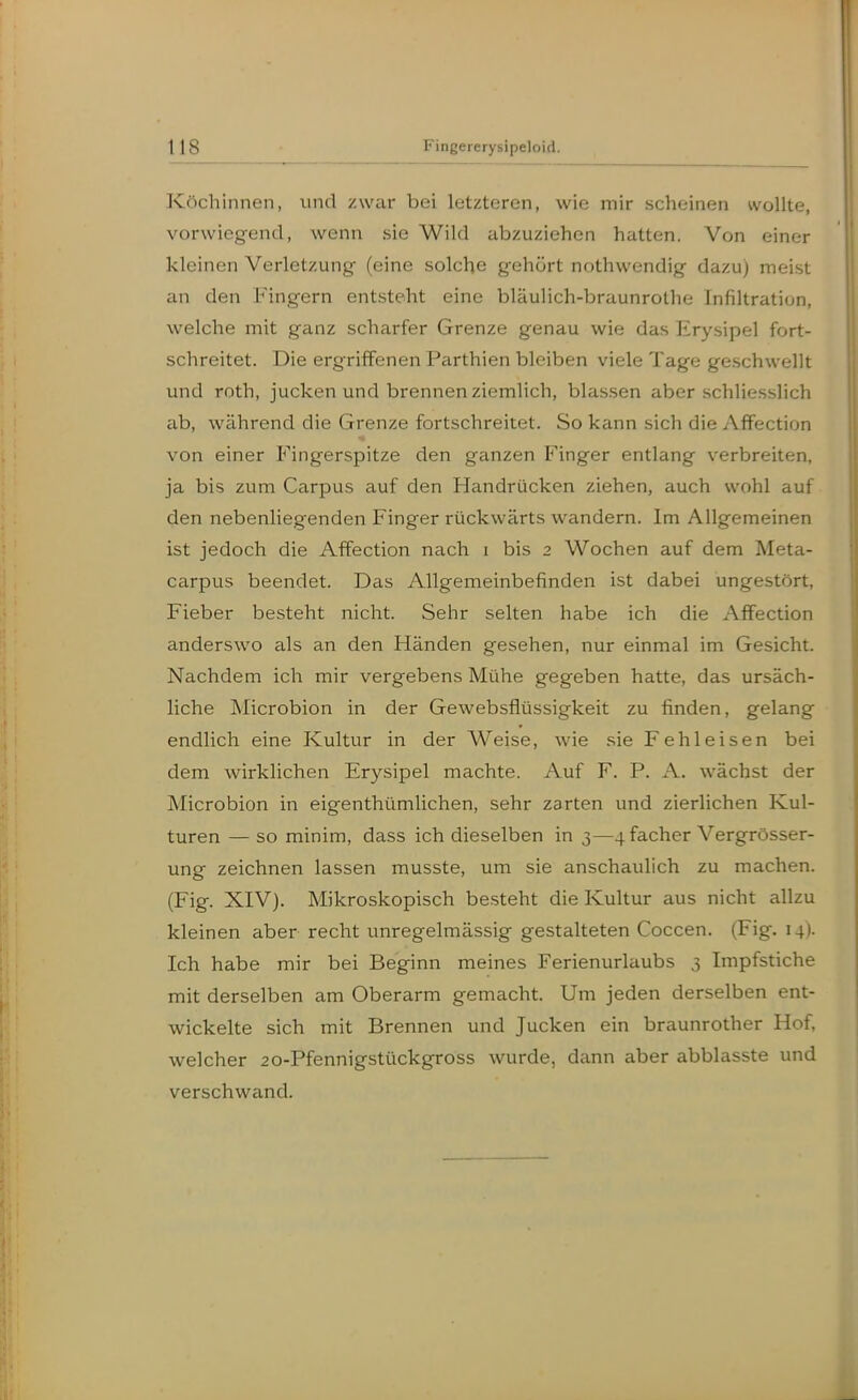 tl8 Köchinnen, und zwar bei letzteren, wie mir scheinen wollte, vorwiegend, wenn sie Wild abzuziehen hatten. Von einer kleinen Verletzung (eine solche gehört nothwendig dazu) meist an den Fingern entsteht eine bläulich-braunrothe Infiltration, welche mit ganz scharfer Grenze genau wie das Erysipel fort- schreitet. Die ergriffenen Parthien bleiben viele Tage geschwellt und roth, jucken und brennen ziemlich, blassen aber schliesslich ab, während die Grenze fortschreitet. So kann sich die AfFection von einer Fingerspitze den ganzen Finger entlang verbreiten, ja bis zum Carpus auf den Handrücken ziehen, auch wohl auf den nebenliegenden Finger rückwärts wandern. Im Allgemeinen ist jedoch die Affection nach i bis 2 Wochen auf dem Meta- carpus beendet. Das Allgemeinbefinden ist dabei ungestört, Fieber besteht nicht. Sehr selten habe ich die Affection anderswo als an den Händen gesehen, nur einmal im Gesicht. Nachdem ich mir vergebens Mühe gegeben hatte, das ursäch- liche Microbion in der Gewebsflüssigkeit zu finden, gelang endlich eine Kultur in der Weise, wie sie Fehleisen bei dem wirklichen Erysipel machte. Auf F. P. A. wächst der Microbion in eigenthümlichen, sehr zarten und zierlichen Kul- turen — so minim, dass ich dieselben in 3—4facher Vergrösser- ung zeichnen lassen musste, um sie anschaulich zu machen. (Fig. XIV}. Mikroskopisch besteht die Kultur aus nicht allzu kleinen aber recht unregelmässig gestalteten Coccen. (Fig. 14). Ich habe mir bei Beginn meines Ferienurlaubs 3 Impfstiche mit derselben am Oberarm gemacht. Um jeden derselben ent- wickelte sich mit Brennen und Jucken ein braunrother Hof, welcher 20-Pfennigstückgross wurde, dann aber abblasste und verschwand.