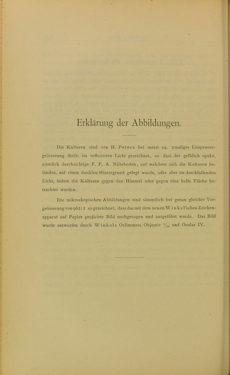Erklärung der Abbildungen. Die Kulturen sind von H. Peters bei meist ca. 2maliger Loupenver- grösserung theils im reflectirten Licht gezeichnet, so dass der gelblich opake, ziemlich durchsichtige F. P. A. Nährboden, auf welchem sich die Kulturen be- fanden, auf einen dunklen Hintergrund gelegt wurde, oder aber im durchfallenden Licht, indem die Kulturen gegen den Himmel oder gegen eine helle Fläche be- trachtet wurden. Die mikroskopischen Abbildungen sind sämmtlich bei genau gleicher Ver- grösserungvongöa: I so gezeichnet, dass dasmit dem neuen Wink el'schen Zeichen- apparat auf Papier projicirte Bild nachgezogen und ausgeführt wurde. Das Bild wurde entworfen durch Winkels Oelimmers Objectiv '/,, und Ocular IV.