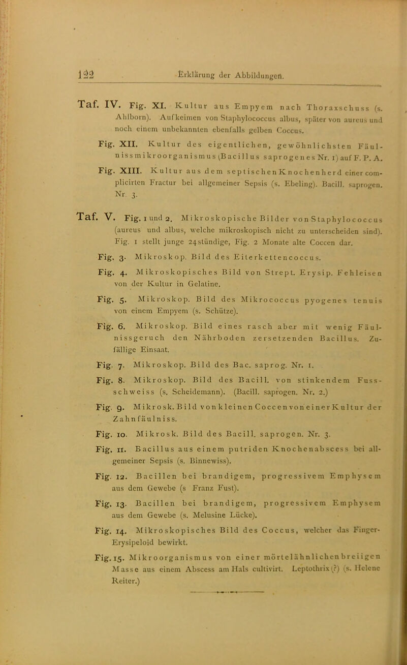 Taf. IV. Fig. XI. Kultur aus Empyem nach Tli o r axs c h u s s (s. Alilborn). Aufkeimen von Staphylococcus albus, später von aureus und noch einem unbekannten ebenfalls gelben Coccus. Fig. XII, Kultur des eigentlichen, gewöhnlichsten Fäul- n iss m ikroorgan i smu s ^Baci 11 u s saprogen es Nr. i) auf F. P. A. Fig. XIII. Kultur aus dem septisch enKnochenherd einer com- plicirtcn Fractur bei allgemeiner Sepsis (s. Ebeling). Bacill. saprogen. Nr. 3. Taf. V. Fig. I und 2. Mikroskopische Bilder von Staphylococcus (aureus und albus, welche mikroskopisch nicht zu unterscheiden sind). Fig. I stellt junge 24stündige, Fig. 2 Monate alte Coccen dar. Fig. 3- Mikroskop. Bild des E i t e rk e 11 e n c o cc u s. Fig. 4. Mikroskopisches Bild von Strept. Erysip. Fehleisen von der Kultur in Gelatine. Fig. 5. Mikroskop. Bild des Mikrococcus pyogenes tenuis von einem Empyem (s. Schütze). Fig. 6. Mikroskop. Bild eines rasch abe.r mit wenig Fäul- nissgeruch den Nährboden zersetzenden Bacillus. Zu- fällige Einsaat. Fig. 7. Mikroskop. Bild des Bac. saprog. Nr. i. Fig. 8. Mikroskop. Bild des Bacill. von stinkendem Fuss- scliweiss (s. Scheidemann). (Bacill. saprogen. Nr. 2.) Fig. 9. Mikrosk. Bild vonkleincnCoccenvoneinerKullur der Zahnfäulniss. Fig. 10. Mikrosk. Bild des Bacill. saprogen. Nr. 3. Fig. II. Bacillus aus einem putriden Kno c h e n ab sc es s bei all- gemeiner Sepsis (s. Binnewiss). Fig. 12. Bacillen bei brandigem, progressivem Emphysem aus dem Gewebe (s Franz Fust). Fig. 13. Bacillen bei brandigem, progressivem Emphysem aus dem Gewebe (s. Melusine Lücke), Fig. 14, Mikroskopisches Bild des Coccus, welcher das Finger- Erysipeloid bewirkt. Fig,l5. Mikroorganismus von einer mörlclähnlichcnbreiigcn Masse aus einem Abscess am ll.ils cullivirl. Leptolhrix 1^?) (s. Helene Reiter.)
