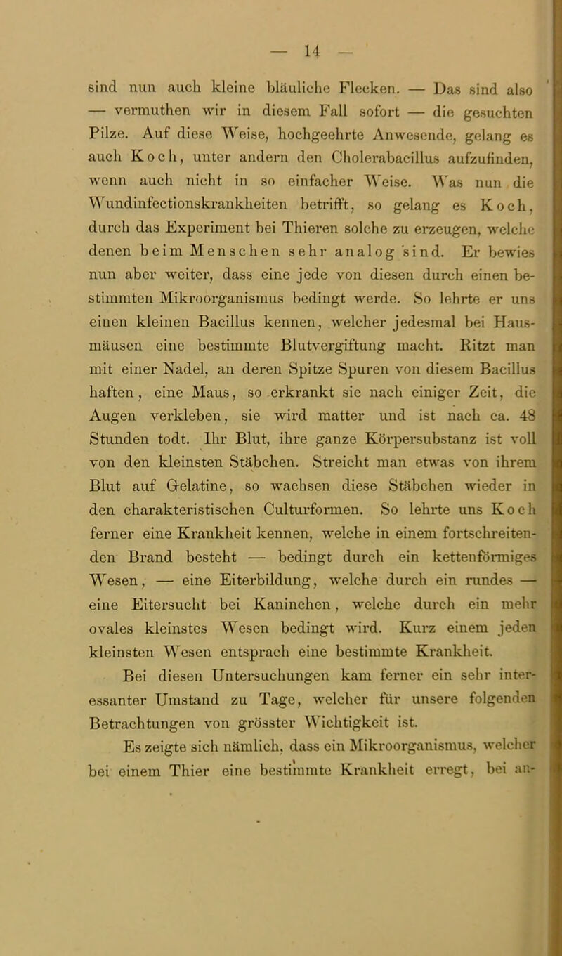 sind nun auch kleine bläuliche Flecken. — Das sind also — vermuthen wir in diesem Fall sofort — die gesuchten Pilze. Auf diese Weise, hochgeehrte Anwesende, gelang es auch Koch, unter andern den Cholerabacillus aufzufinden, wenn auch nicht in so einfacher ^^'eise. A\'as nun die Wundinfectionskrankheitcn betrifft, so gelang es Koch, durch das Experiment bei Thieren solche zu erzeugen, welcli denen beim Menschen sehr analog sind. Er bewies nun aber weiter, dass eine jede von diesen durch einen be- stimmten Mikroorganismus bedingt werde. So lehrte er uns einen kleinen Bacillus kennen, welcher jedesmal bei Haus- mäusen eine bestimmte Blutvergiftung macht. Ritzt man mit einer Nadel, an deren Spitze Spuren von diesem Bacillus haften, eine Maus, so erkrankt sie nach einiger Zeit, die Augen verkleben, sie wird matter und ist nach ca. 48 Stunden todt. Ihr Blut, ihre ganze Körpersubstanz ist voll von den kleinsten Stäbchen. Streicht man etwas von ihrem Blut auf Grelatine, so wachsen diese Stäbchen wieder in den charakteristischen Culturformen. So lehrte uns Koch ferner eine Krankheit kennen, welche in einem fortschreiten- den Brand besteht — bedingt durch ein kettenfönniges Wesen, — eine Eiterbildung, welche durch ein rundes — eine Eitersucht bei Kaninchen, welche durch ein mehr ovales kleinstes Wesen bedingt wird. Kurz einem jeden kleinsten Wesen entsprach eine bestimmte Krankheit Bei diesen Untersuchungen kam ferner ein sehr inter- essanter Umstand zu Tage, welcher für unsere folgenden Betrachtungen von grösster Wichtigkeit ist. Es zeigte sich nämlich, dass ein Mikroorganismus, welcher bei einem Thier eine bestimmte Krankheit erregt, bei an-