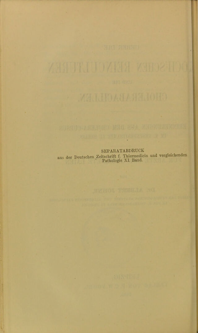 digitised image 2