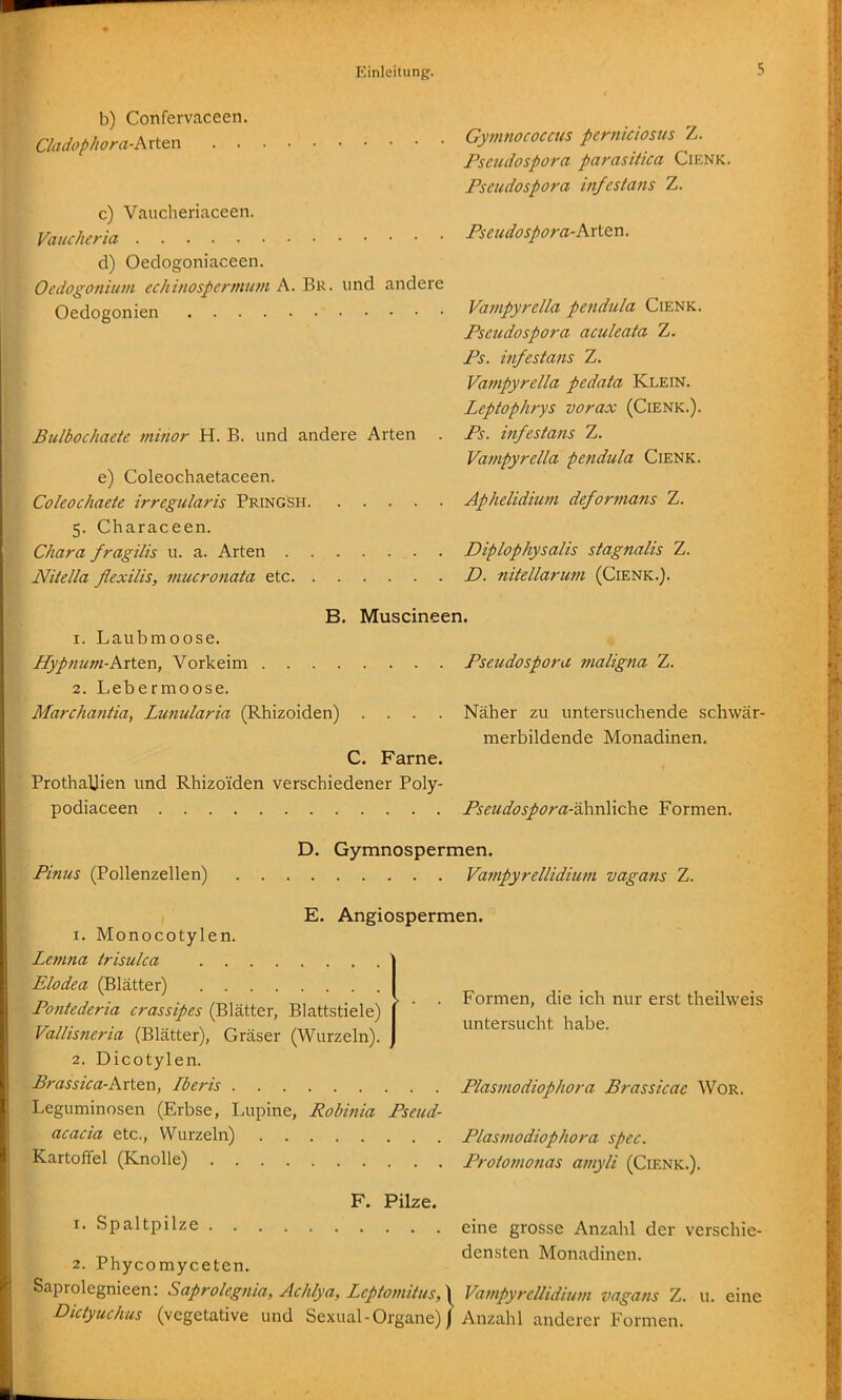 b) Confervaceen. Cladophora-Axt^n Gymnococcus perniciosus Z. PseudoSpora parasitica Cienk. PseudoSpora infestans Z. c) Vaucheriaceen. Vaucheria Pseudospora-KxiQn. d) Oedogoniaceen. Oedogonium echinospermutn A.B^. und andere Oedogonien Vatnpyre/la pendula Cienk. PseudoSpora aculeata Z. Ps. infestans Z. Vanipyrella pedata Klein. Leptophrys vorax (Cienk.). Bulbochaete minor H. B. und andere Arten . Ps. infestans Z. Vanipyrella pefidula Cienk. e) Coleochaetaceen. Coleochaete irregularis Pringsh Aphelidium deformans Z. 5. Characeen. Chara fragilis u. a. Arten Diplophysalis stagnalis Z. Nitella flexilis, mucronata etc D. nitellarum (Cienk.). B. Muscineen. 1. Laubmoose. Hypnum-Arttn, Vorkeim PseudoSpora maligna Z. 2. Lebermoose. Marchantia, Lunularia (Rhizoiden) .... Näher zu untersuchende schwär- merbildende Monadinen. C. Farne. ProthaUien und Rhizoiden verschiedener Poly- podiaceen Pseudospora-?ii\ri!i\QS\^ Formen. D. Gymnospermen. Pinus (Pollenzellen) Vampyrellidium vagans Z. E. Angiospermen. 1. Monocotylen. Lemna trisulca Elodea (Blätter) Pontederia crassipes (Blätter, Blattstiele) Vallisneria (Blätter), Gräser (Wurzeln). 2. Dicotylen. Brassica-A\\.^x\, Iberis Plasmodiophora Brassicac Wor. Leguminosen (Erbse, Lupine, Robinia Pseud- acacia etc., Wurzeln) Plasmodiophora spec. Kartoffel (Knolle) Protomonas amyli (Cienk.). F. Pilze. 1. Spaltpilze eine grosse Anzahl der verschie- „ -DU . densten Monadinen. 2. rhycomyceten. Saprolegnieen: Saprolegnia, Achlya, Lcptomitus,\ Vampyrellidium vagans Z. u. eine Dictyuchus (vegetative und Sexual - Organe) | Anzahl anderer Formen. Formen, die ich nur erst theilweis untersucht habe.