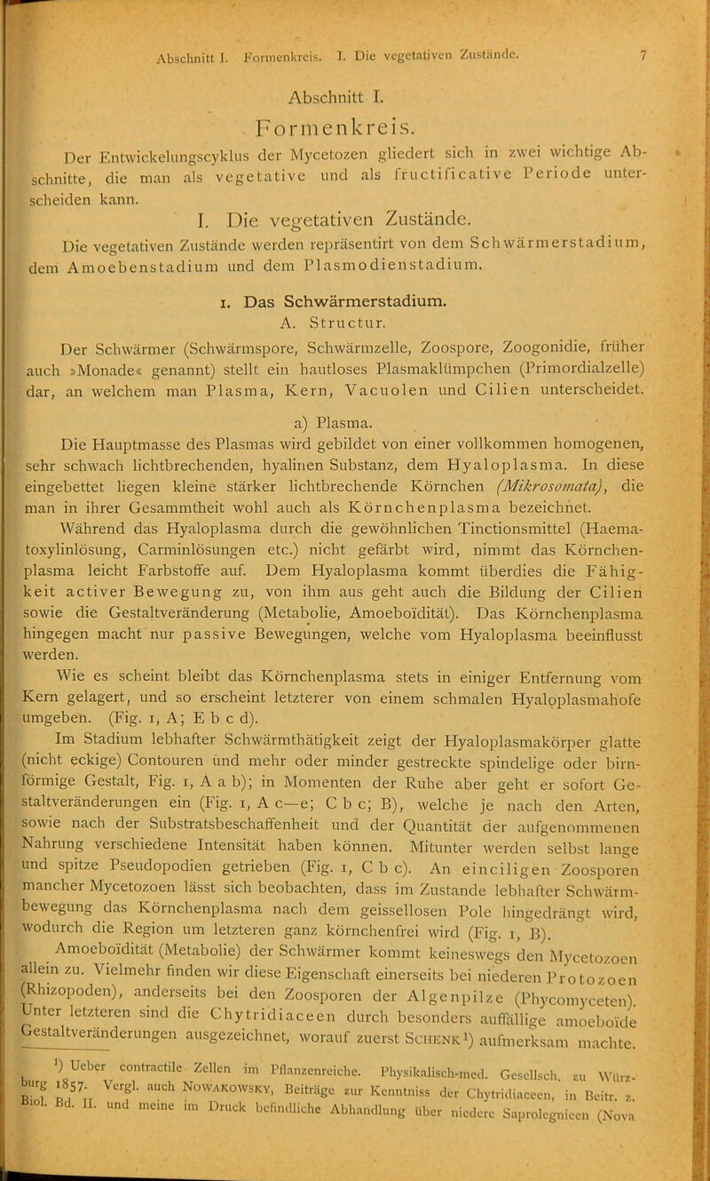 Abschnitt I, Formenkreis. Der Entwickelungscykliis der Mycetozen gliedert sich in zwei wichtige Ab- schnitte, die man cals vegetative und als fructificative Periode unter- scheiden kann. I. Die vegetativen Zustände. Die vegetativen Zustcände werden repräsentirt von dem Schwärmer Stadium, dem Amoebenstadium und dem Plasmodienstadium. I. Das Schwärmerstadium. A. Structur. Der Schwärmer (Schwärmspore, Schwärmzelle, Zoospore, Zoogonidie, früher auch »Monade« genannt) stellt ein hautloses Plasmaklümpchen (Primordialzelle) dar, an welchem man Plasma, Kern, Vacuolen und Cilien unterscheidet. a) Plasma. Die Hauptmasse des Plasmas wird gebildet von einer vollkommen homogenen, sehr schwach lichtbrechenden, hyalinen Substanz, dem Hyaloplasma. In diese eingebettet liegen kleine stärker lichtbrechende Körnchen (Mikrosomata), die man in ihrer Gesammtheit wohl auch als Körnchenplasma bezeichnet. Während das Hyaloplasma durch die gewöhnlichen Tinctionsmittel (Haema- toxylinlösung, Carminlösungen etc.) nicht gefärbt wird, nimmt das Körnchen- plasma leicht Farbstoffe auf. Dem Hyaloplasma kommt überdies die Fähig- keit activer Bewegung zu, von ihm aus geht auch die Bildung der Cilien sowie die Gestaltveränderung (Metabolie, Amoeboidität). Das Körnchenplasma hingegen macht nur passive Bewegungen, welche vom Hyaloplasma beeinflusst werden. Wie es scheint bleibt das Körnchenplasma stets in einiger Entfernung vom Kern gelagert, und so erscheint letzterer von einem schmalen Hyalpplasmahofe umgeben. (Fig. i, A; E b c d). Im Stadium lebhafter Schwärmthätigkeit zeigt der Hyaloplasmakörper glatte (nicht eckige) Contouren und mehr oder minder gestreckte spindelige oder birn- förmige Gestalt, Fig. i, A a b); in Momenten der Ruhe aber geht er sofort Ge- staltveränderungen ein (Fig. i, A c—e; C b c; B), welche je nach den Arten, sowie nach der Substratsbeschaffenheit und der Quantität der aufgenommenen Nahrung verschiedene Intensität haben können. Mitunter werden selbst lange und spitze Pseudopodien getrieben (Fig. i, C b c). An ein eiligen Zoosporen mancher Mycetozoen lässt sich beobachten, dass im Zustande lebhafter Schwärm- bewegung das Körnchenplasma nach dem geissellosen Pole hingedrängt wird, wodurch die Region um letzteren ganz körnchenfrei wird (Fig. i, B). Amoeboidität (Metabolie) der Schwärmer kommt keineswegs den Mycetozoen allein zu. Vielmehr finden wir diese Eigenschaft einerseits bei niederen Protozoen (Rhizopoden), anderseits bei den Zoosporen der Algenpilze (Phycomyceten) Unter letzteren sind die Chytridiaceen durch besonders auflallige amoeboide Gestaltveränderungen ausgezeichnet, worauf zuerst Schenk i) aufmerksam machte. •) Ueber contractile Zellen im Pflanzenreiche. Physikalisch-mcd. Gcsellsch zu Würz- S p.;r ^f ■ ''^ NOWAKOWSKY, Beiträge zur Kenntniss der Chytridiaceen, in Beitr. z. öiol. Bd. II. und meine im Druck befnuUiche Abhandlung Uber niedere Saprolegnieen (Nova