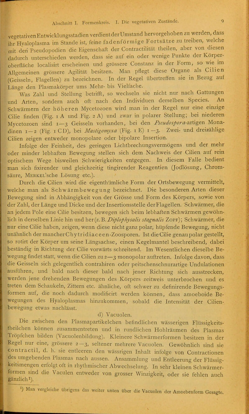 ve'^etativenEntwicklungsstadien verdientderUmstand hervorgehoben zu werden, dass ihrHvaloplasma im Stande ist, feine fadenförmige Fortsätze zu treiben, welche mit deri Pseudopodien die Eigenschaft der Contractilität theilen, aber von diesen dadurch unterschieden werden, dass sie auf ein oder wenige Punkte der Körper- oberfläche locahsirt erscheinen und grössere Constanz in der Form, so wie mi Allgemeinen grössere Agilität besitzen. Man pflegt diese Organe als Cilien (Geissein, Flagellen) zu bezeichnen. In der Regel übertreffen sie in Bezug auf Länge den Plasmakörper ums Mehr- bis Vielfache. Was Zahl und Stellung betriffl:, so wechseln sie nicht nur nach Gattungen und Arten, sondern auch oft nach den Individuen derselben Speeles. An Schwärmern der höheren Mycetozoen wird man in der Regel nur eine einzige CiHe finden (Fig. i A und Fig. 2 A) und zwar in polarer Stellung; bei niederen Mycetozoen sind 1—3 Geissein vorhanden, bei den Fseudospora-artigen Mona- dinen 1 — 2 (Fig. i CD), bei Mastigomyxa (Fig. iE) 1—3. Zwei- und dreizählige Cilien zeigen entweder monopolare oder bipolare Insertion. Infolge der Feinheit, des geringen Lichtbrechungsvermögens und der mehr oder minder lebhaften Bewegung stellen sich dem Nachweis der Cilien auf rein optischem Wege bisweilen Schwierigkeiten entgegen. In diesem Falle bedient man sich fixirender und gleichzeitig tingirender Reagentien (Jodlösung, Chrom- säure, MERKEL'sche Lösung etc.). Durch die Cilien wird die eigenthümliche Form der Ortsbewegung vermittelt, welche man als Schwärmbewegung bezeichnet. Die besonderen Arten dieser Bewegung sind in Abhängigkeit von der Grösse und Form des Körpers, sowie von der Zahl, der Länge und Dicke und der Insertionsstelle der Flagellen. Schwärmer, die an jedem Pole eine Cilie besitzen, bewegen sich beim lebhaften Schwärmen gewöhn- lich in derselben Linie hin und h^x(z.'B. JDiplophysalis stagnalis Zopf); Schwärmer, die nur eine Cilie haben, zeigen, wenn diese nicht ganz polar, hüpfende Bewegung, nicht unähnlich der mancher Chytridiaceen -Zoosporen. Ist die Cilie genau polar gestellt, so rotirt der Körper um seine Längsachse, einen Kegelmantel beschreibend, dabei beständig in Richtung der Cilie vorwärts schreitend. Im Wesentlichen dieselbe Be- wegung findet statt, wenn die Cilien zu 2—3 monopolar auftreten. Infolge davon, dass die Geissein sich gelegentlich contrahiren oder peitschenschnurartige Undulationen ausftihren, und bald nach dieser bald nach jener Richtung sich ausstrecken, werden jene drehenden Bewegungen des Körpers zeitweis unterbrochen und es treten dem Schaukeln, Zittern etc. ähnliche, oft schwer zu definirende Bewegungs- formen auf, die noch dadurch modificirt werden können, dass amoeboide Be- wegungen des Hyaloplasmas hinzukommen, sobald die Intensität der CiHen- bewegung etwas nachlässt. d) Vacuolen. Die zwischen den Plasmapartikelchen befindlichen wässerigen Flüssigkeits- theilchen können zusammentreten und in rundlichen Hohlräumen des Plasmas Tröpfchen bilden (Vacuolenbildung). Kleinere Schwärmerformen besitzen in der Regel nur eine, grössere 2—3, seltener mehrere Vacuolen. Gewöhnlich sind sie contractil, d. h. sie entleeren den wässrigen Inhalt infolge von Contractionen des umgebenden Plasmas nach aussen. Ansammlung und Entleerung der Flüssig- keitsmengen erfolgt oft in rhythmischer Abwechselung. In sehr kleinen Schwärmer- formen sind die Vaculen entweder von grosser Winzigkeit, oder sie fehlen auch gänzlich i). 0 Man vergleiche übrigens das weiter unten Uber die Vacuolen der Amoebenform Gesagte.