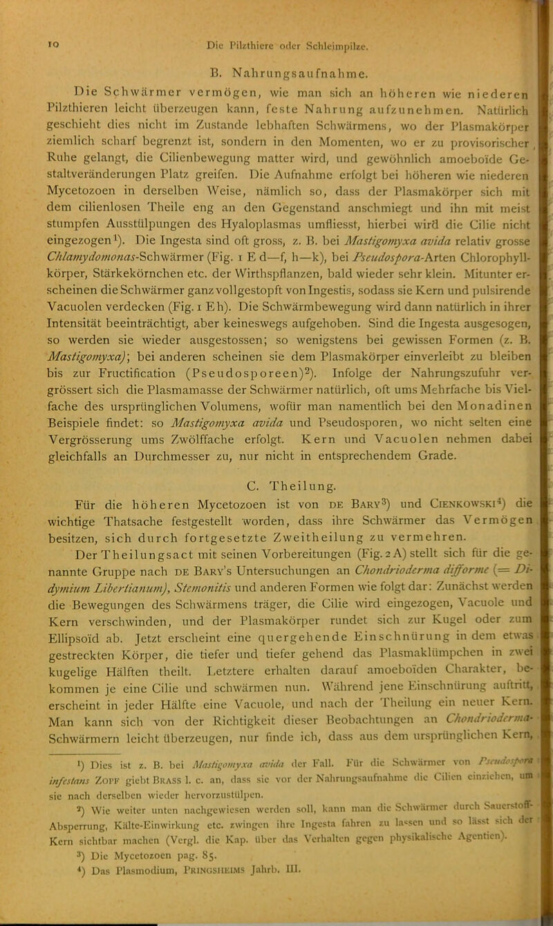 B. Nahrungsaufnahme. Die Schwärmer vermögen, wie man sich an höheren wie niederen Pilzthieren leicht überzeugen kann, feste Nahrung aufzunehmen. Natürlich geschieht dies nicht im Zustande lebhaften Schwärmens, wo der Plasmakörper ziemlich scharf begrenzt ist, sondern in den Momenten, wo er zu provisorischer , Ruhe gelangt, die Cilienbewegung matter wird, und gewöhnlich amoeboide Ge- staltveränderungen Platz greifen. Die Aufnahme erfolgt bei höheren wie niederen Mycetozoen in derselben Weise, nämlich so, dass der Plasmakörper sich mit dem ciUenlosen Theile eng an den Gegenstand anschmiegt und ihn mit meist stumpfen Ausstülpungen des Hyaloplasmas umfliesst, hierbei wird die Cilie nicht eingezogen i). Die Ingesta sind oft gross, z. B. bei Mastigomyxa avida relativ grosse Chlamydomonas-^c\-\\s'±xm.Q.x (Fig. i E d—f, h—k), bei Fseudospora-krten Chlorophyll- körper, Stärkekörnchen etc. der Wirthspflanzen, bald wieder sehr klein. Mitunter er- .scheinen die Schwärmer ganz vollgestopft voningestis, sodass sie Kern und pulsirende Vacuolen verdecken (Fig. i Eh). Die Schwärmbewegung wird dann natürlich in ihrer Intensität beeinträchtigt, aber keineswegs aufgehoben. Sind die Ingesta ausgesogen, so werden sie wieder ausgestossen; so wenigstens bei gewissen Formen (z. B. Mastigomyxa); bei anderen scheinen sie dem Plasmakörper einverleibt zu bleiben bis zur Fructification (Pseudosporeen)^). Infolge der Nahrungszufuhr ver- grössert sich die Plasmamasse der Schwärmer natürlich, oft ums Mehrfache bis Viel- fache des ursprünglichen Volumens, wofür man namentlich bei den Monadinen Beispiele findet: so Mastigomyxa avida und Pseudosporen, wo nicht selten eine Vergrösserung ums Zwölffache erfolgt. Kern und Vacuolen nehmen dabei gleichfalls an Durchmesser zu, nur nicht in entsprechendem Grade. C. Theilung. Für die höheren Mycetozoen ist von de Barv^) und Cienkowski-*) die wichtige Thatsache festgestellt worden, dass ihre Schwärmer das Vermögen besitzen, sich durch fortgesetzte Zweitheilung zu vermehren. Der Theilungsact mit seinen Vorbereitungen (Fig. 2 A) stellt sich für die ge- nannte Gruppe nach de Bary's Untersuchungen an Chondriodcrma difforme (= Di- dytnium Libertianum), Stemonitis und anderen Formen wie folgt dar: Zunächst werden die Bewegungen des Schwärmens träger, die Cilie wird eingezogen, Vacuole und Kern verschwinden, und der Plasmakörper rundet sich zur Kugel oder zum EUipsoid ab. Jetzt erscheint eine quergehende Einschnürung indem etwas gestreckten Körper, die tiefer und tiefer gehend das Plasmaklümpchen in zwei kugelige Hälften theilt. Letztere erhalten darauf amoeboiden Charakter, be- kommen je eine Cilie und schwärmen nun. Während jene Einschnürung auftritt, erscheint in jeder Hälfte eine Vacuole, und nach der Theilung ein neuer Kern. Man kann sich von der Richtigkeit dieser Beobachtungen an Chondriodcrma- Schwärmern leicht überzeugen, nur finde ich, dass aus dem ursprünglichen Kern, ') Dies ist 7.. B. bei Mastigomyxa mida der Fall. Ftlr die Schw.ärnicr von Psiudcspora infcstans Zopf gieht Brass 1. c. an, dass sie vor der Nahrungsaufnahme die Cilien einziehen, um sie nach derselben wieder hervorzustiiliien. 2) Wie weiter unten nachgewiesen werden soll, kann man die Schwärmer durch Sauerstoff- Absperrung, Kälte-Einwirkung etc. r.wingcn ihre Ingesta fahren zu la>=scn und so lässt sich der Kern sichtbar machen (Vergl. die Kap. Uber das Verhalten gegen physikalische Agenticn). Die Mycetozoen pag. 85. *) Das Plasmodium, Pringsiusims Jahrb. III.