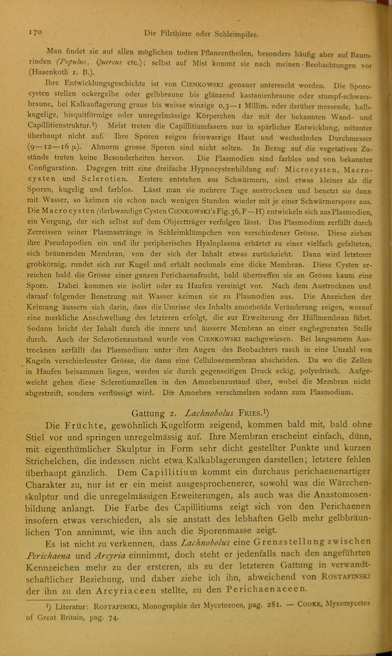 Man findet sie auf allen möglichen todten Pflanzentheilen, besonders häufig aber auf Baum- rinden (Populus, Quercus etc.); selbst auf Mist kommt sie nach meinen-Beobachtungen vor (HasenlcotU z. B.). Ihre Entwicklungsgeschichte ist von Cienkowskü .genauer untersucht worden. Die Sporo- cysten stellen ockergelbe oder gelbbraune bis glänzend kastanienbraune oder stumpf-schwarz- braune, bei Kalkauflagerung graue bis weisse winzige 0,3—1 Millim. oder darüber messende, halb- kugelige, bisquitförmige oder unregelmässige Körperchen dar mit der bekannten Wand- und Capillitienstruktur.i) Meist treten die Capillitiumfasern nur in spärlicher Entwicklung, mitunter überhaupt nicht auf. Ihre Sporen zeigen feinwarzige Haut und wechselnden Durchmesser (9—12—16 Abnorm grosse Sporen sind nicht selten. In Bezug auf die vegetativen Zu- stände treten keine Besonderheiten hervor. Die Plasmodien sind farblos und von bekannter Configuration. Dagegen tritt eine dreifache Hypnocystenbildung auf: Microcysten, Macro- cysten und Sclerotien. Erstere entstehen aus Schwärmern, sind etwas kleiner als die Sporen, kugelig und farblos. Lässt man sie mehrere Tage austrocknen und benetzt sie dann mit Wasser, so keimen sie schon nach wenigen Stunden wieder mit je einer Schwärmerspore aus. DieMacrocysten (derbwandige Cysten ClENKOWSKl'sFig.36,F—H) entwickeln sich aus Plasmodien, ein Vorgang, der sich selbst auf dem Objectträger verfolgen lässt. Das Plasmodium zerfällt durch Zerreissen seiner Plasmastränge in SchleimklUmpchen von verschiedener Grösse. Diese ziehen ihre Pseudopodien ein und ihr peripherisches Hyaloplasma erhärtet zu einer vielfach gefalteten, sich bräunenden Membran, von der sich der Inhalt etwas zurückzieht. Dann wird letzterer grobkörnig, rundet sich zur Kugel und erhält nochmals eine dicke Membran. Diese Cysten er- reichen bald die Grösse einer ganzen Perichaenafrucht, bald übertreffen sie an Grösse kaum eine Spore. Dabei kommen sie isolirt oder zu Haufen vereinigt vor. Nach dem Austrocknen und darauf folgender Benetzung mit Wasser keimen sie zu Plasmodien aus. Die Anzeichen der Keimung äussern sich darin, dass die Umrisse des Inhalts amoebol'de Veränderung zeigen, worauf eine merkliche Anschwellung des letzteren erfolgt, die zur Erweiterung der Hüllmembran führt Sodann bricht der Inhalt durch die innere und äussere Membran an einer engbegrenzten Stelle durch. Auch der Sclerotienzustand wurde von CiENKOWSKi nachgewiesen. Bei langsamem Aus- trocknen zerfällt das Plasmodium unter den Augen des Beobachters rasch in eine Unzahl von Kugeln verschiedenster Grösse, die dann eine Cellulosemembran abscheiden. Da wo die Zellen in Haufen beisammen liegen, werden sie durch gegenseitigen Druck eckig, polyedrisch. Aufge- weicht gehen diese Sclerotiumzellen in den Amoebenzustand über, wobei die Membran nicht abgestreift, sondern verflüssigt wird. Die Amoeben verschmelzen sodann zum Plasmodium. Gattung 2. Lachnobolus Fries.I) Die Früchte, gewöhnlich Kugelform zeigend, kommen bald mit, bald ohne Stiel vor und springen unregelmässig auf. Ihre Membran erscheint einfach, dünn, mit eigenthümlicher Skulptur in Form sehr dicht gestellter Punkte und kurzen Strichelchen, die indessen nicht etwa Kalkablagerungen darstellen; letztere fehlen überhaupt gänzlich. Dem Capillitium kommt ein durchaus perichaenenartiger Charakter zu, nur ist er ein meist ausgesprochenerer, sowohl was die Wärzchen- skulptur und die unregelmässigen Erweiterungen, als auch was die Anastomosen- bildung anlangt. Die Farbe des Capiliitiums zeigt sich von den Perichaenen insofern etwas verschieden, als sie anstatt des lebhaften Gelb mehr gelbbräun- lichen Ton annimmt, wie ihn auch die Sporenmasse zeigt Es ist nicht zu verkennen, dass Lachnobolus eine Grenzstellung zwischen Perichaena und Arcyria einnimmt, doch steht er jedenfalls nach den angeführten Kennzeichen mehr zu der ersteren, als zu der letzteren Gattung in verwandt- schaftlicher Beziehung, und daher ziehe ich ihn, abweichend von Rüstafinski der ihn zu den Arcyriaceen stellte, zu den Perichaenaceen. ») Literatur : RosTAFiNSKi, Monographie der Mycctozoen, pag. 281. — CooKK, Myxomycetcs of Great Britain, pag. 74.